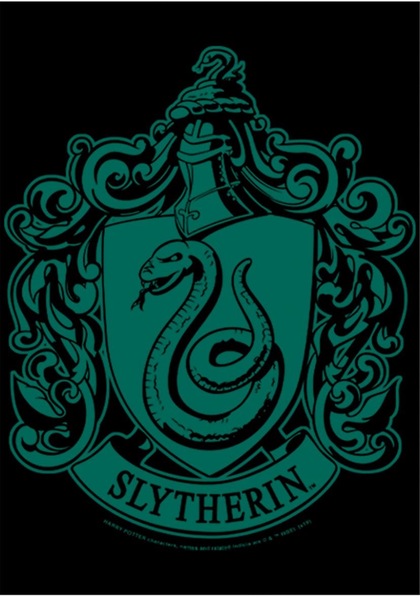 Boys 4-7  Simple Slytherin Graphic T-Shirt
