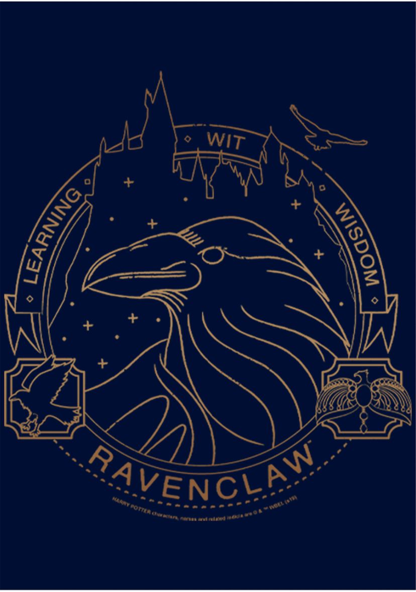 Boys 4-7  Ravenclaw Line Art Symbol Graphic T-Shirt