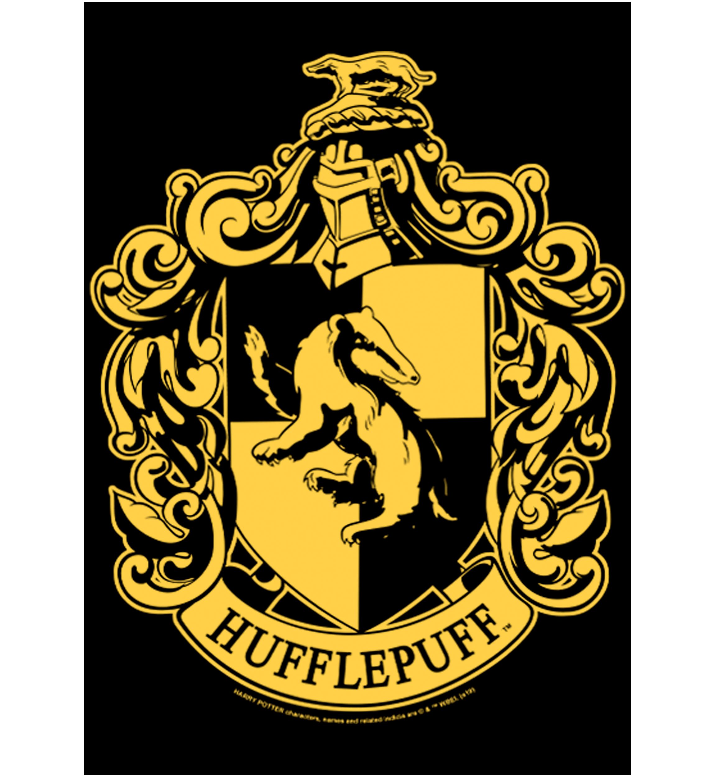 Boys 4-7  Simple Hufflepuff Graphic T-Shirt