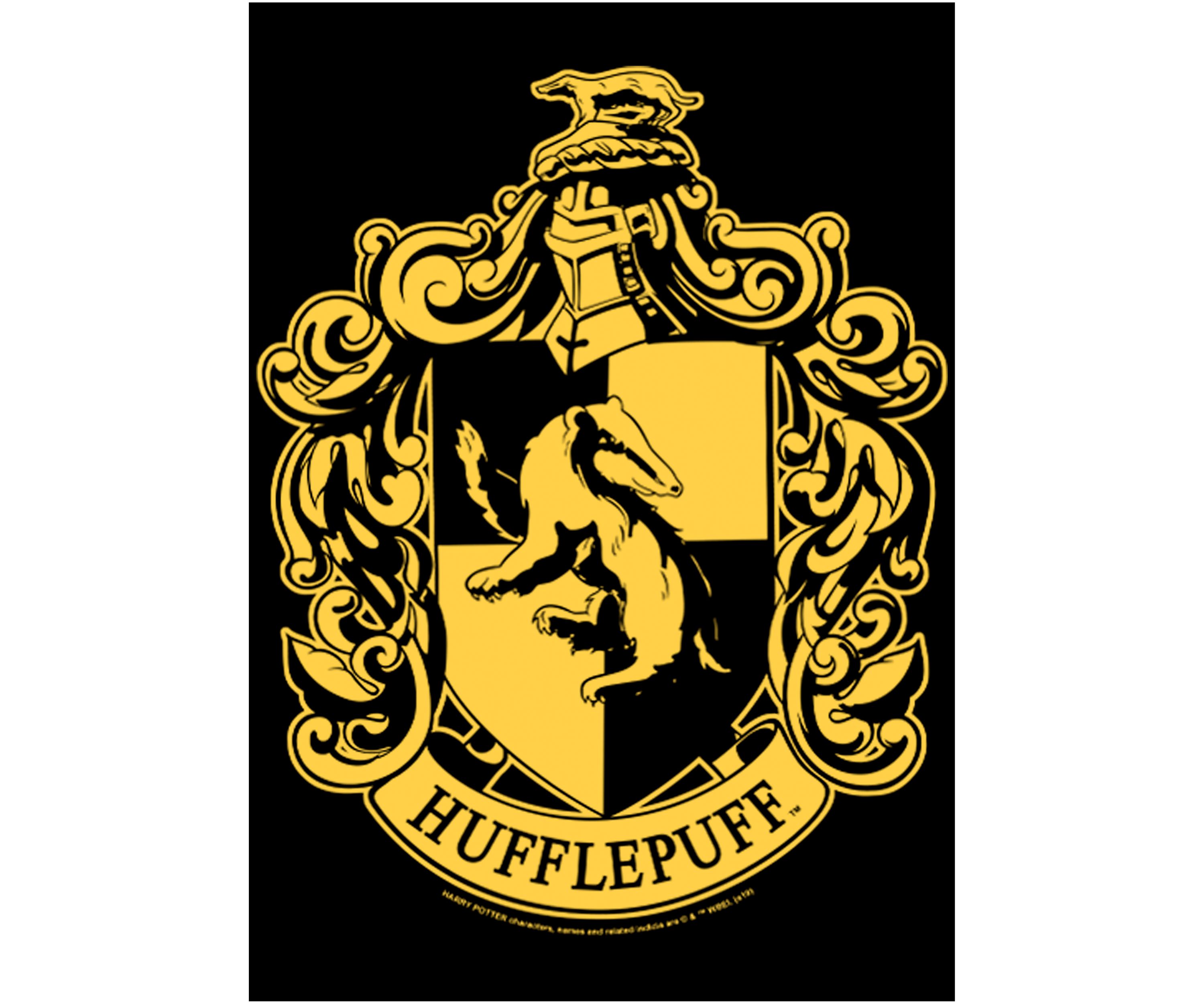 Boys 4-7  Simple Hufflepuff Graphic T-Shirt