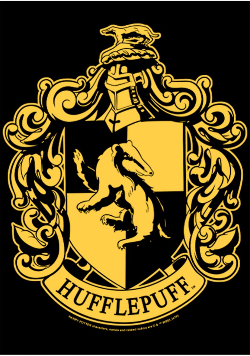 Boys 4-7  Simple Hufflepuff Graphic T-Shirt
