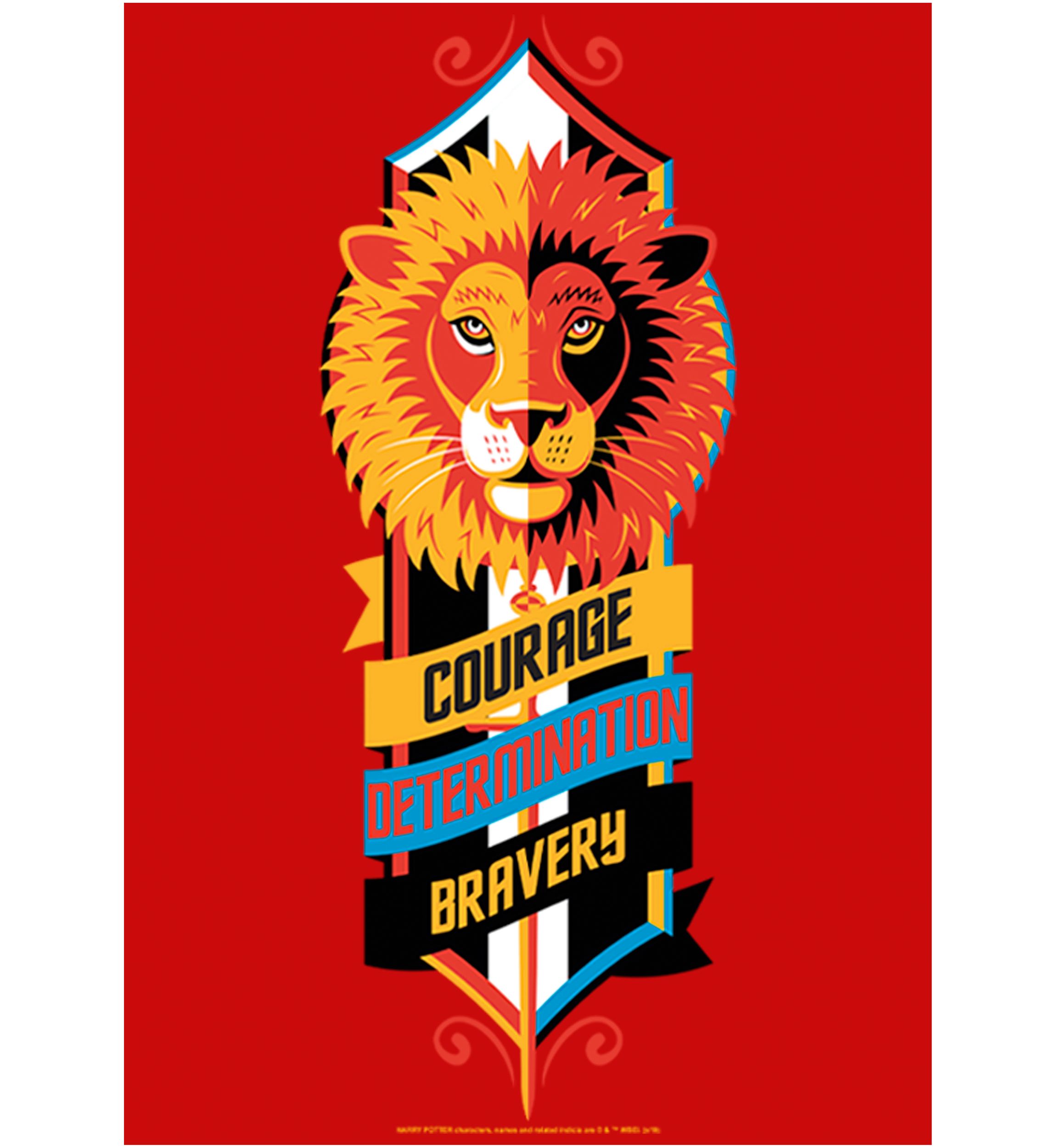 Boys 4-7  Courage Determination Bravery Graphic T-Shirt