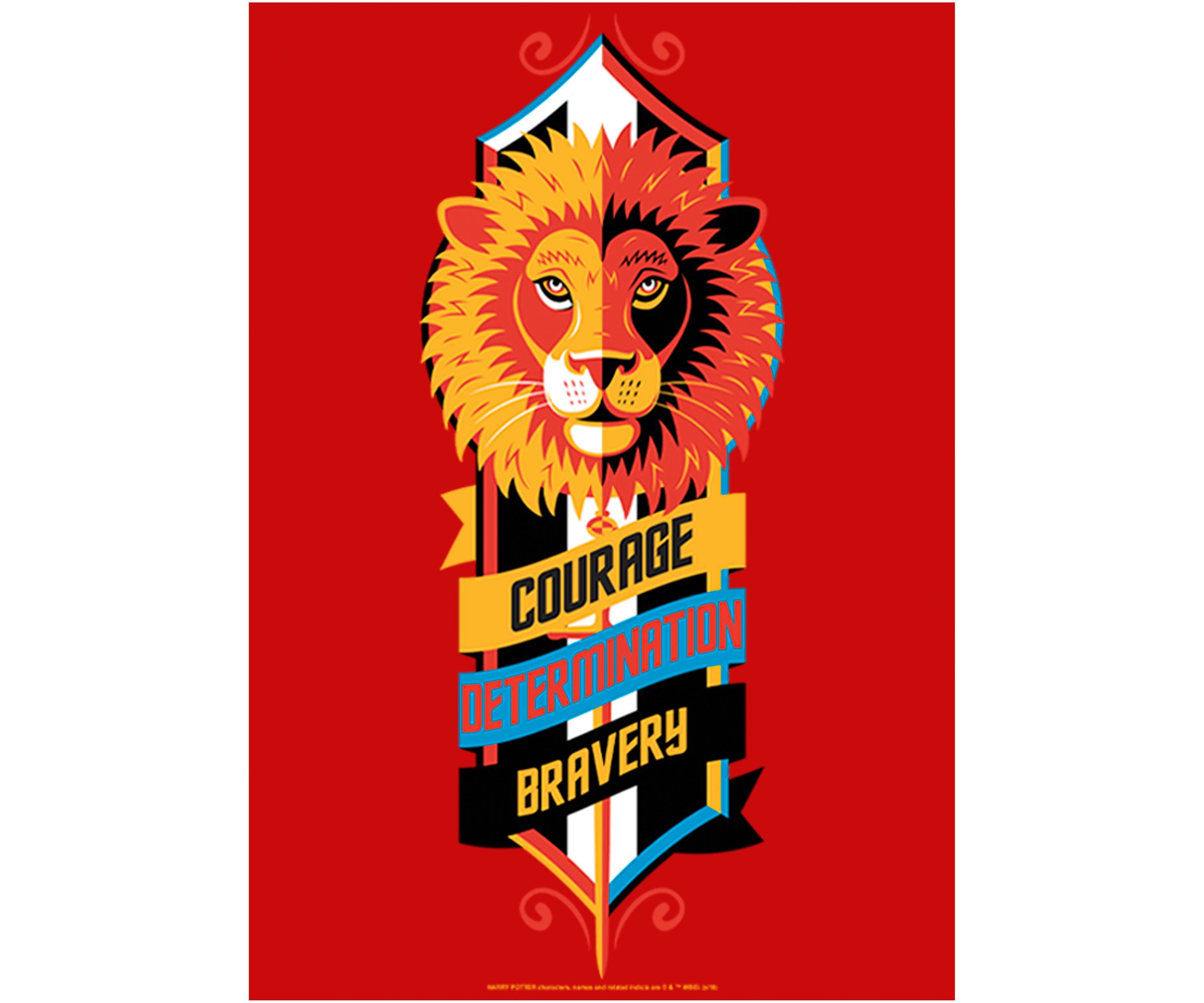 Boys 4-7  Courage Determination Bravery Graphic T-Shirt