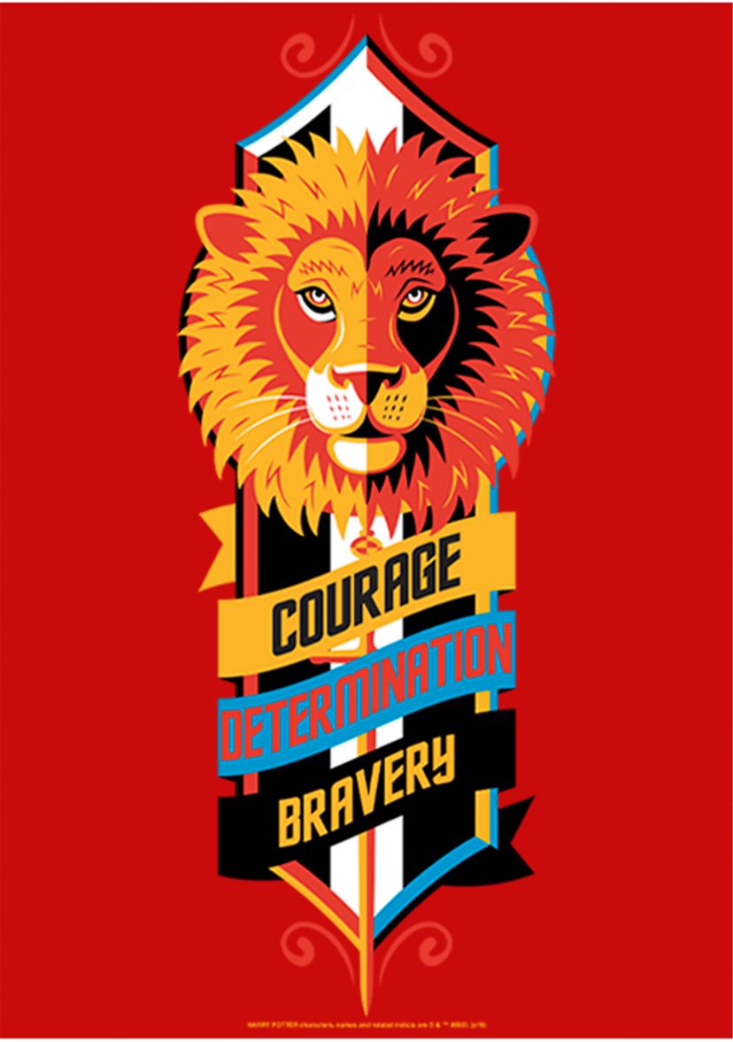 Boys 4-7  Courage Determination Bravery Graphic T-Shirt