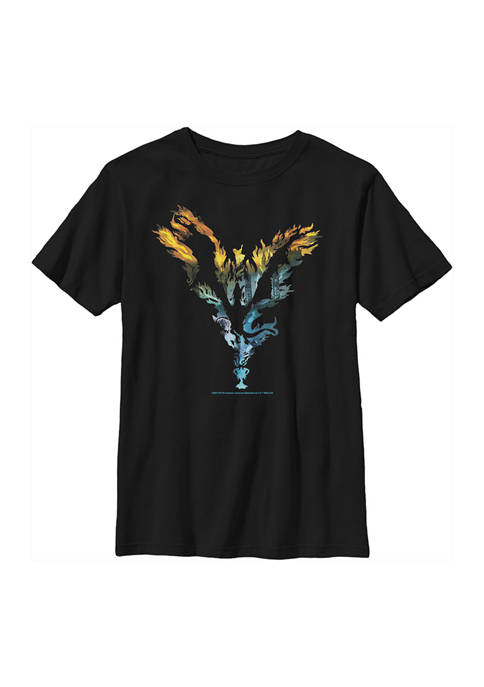 Harry Potter™ Boys 4-7 Dragon Silhouette Graphic T-Shirt