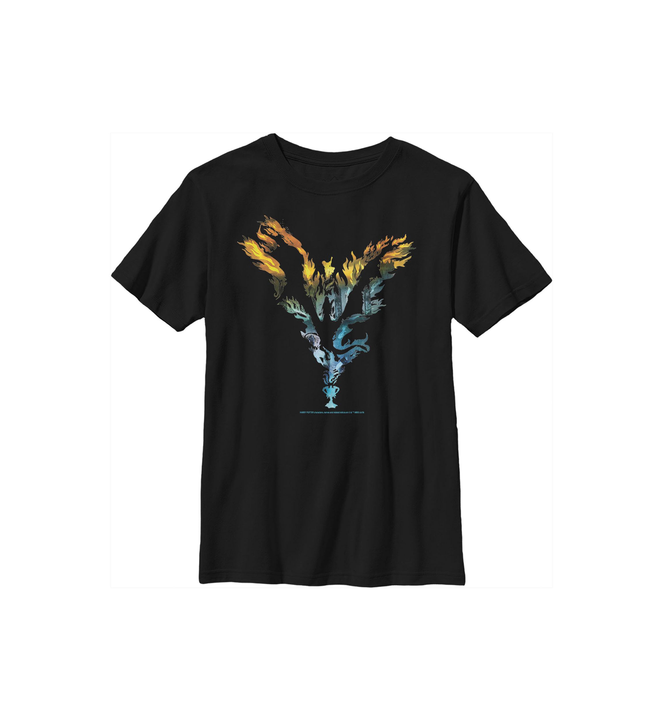 Boys 4-7  Dragon Silhouette Graphic T-Shirt