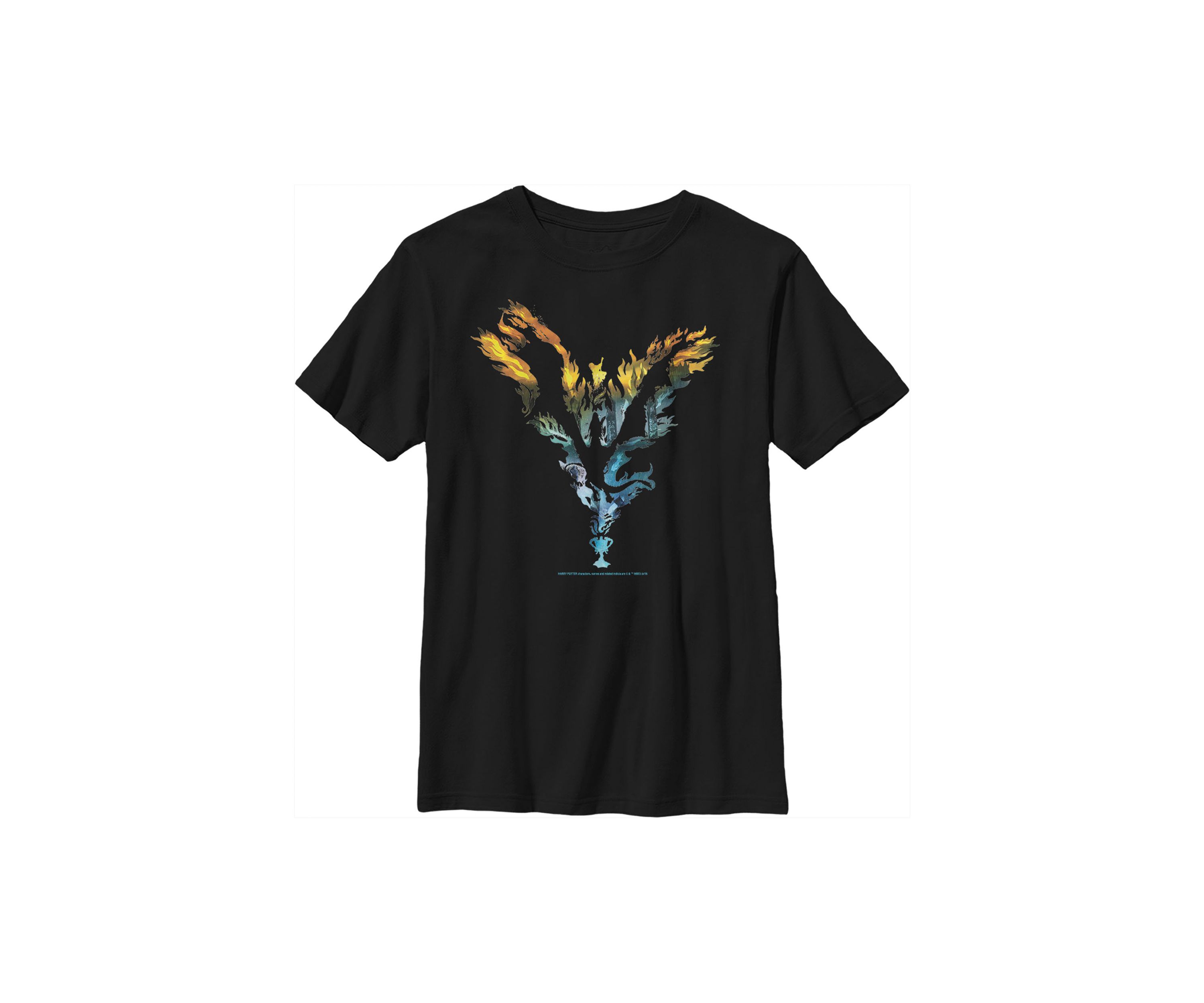 Boys 4-7  Dragon Silhouette Graphic T-Shirt