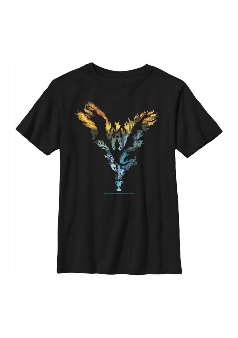 Boys 4-7  Dragon Silhouette Graphic T-Shirt