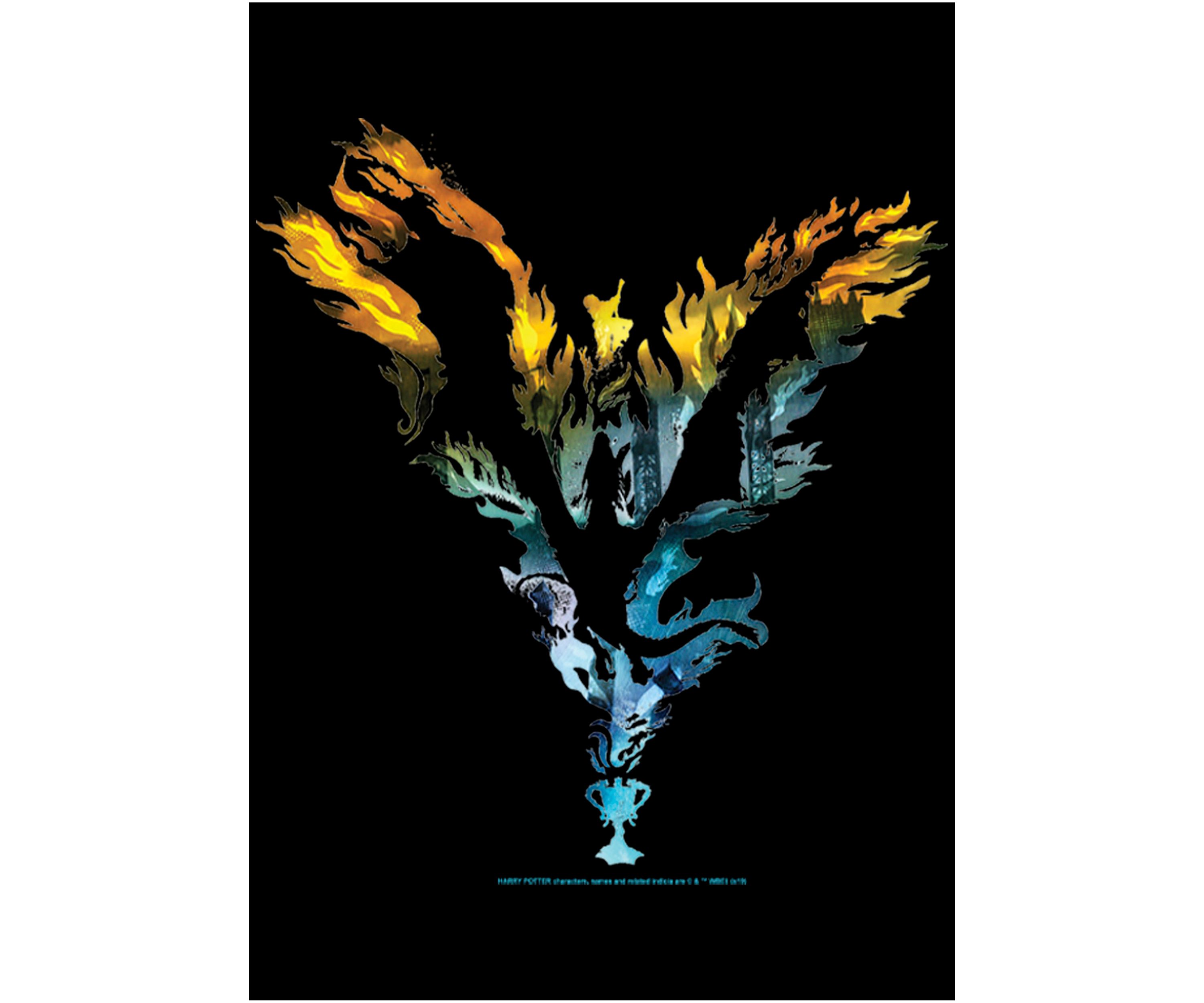 Boys 4-7  Dragon Silhouette Graphic T-Shirt