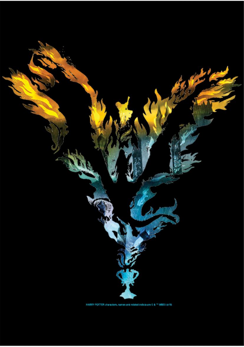 Boys 4-7  Dragon Silhouette Graphic T-Shirt