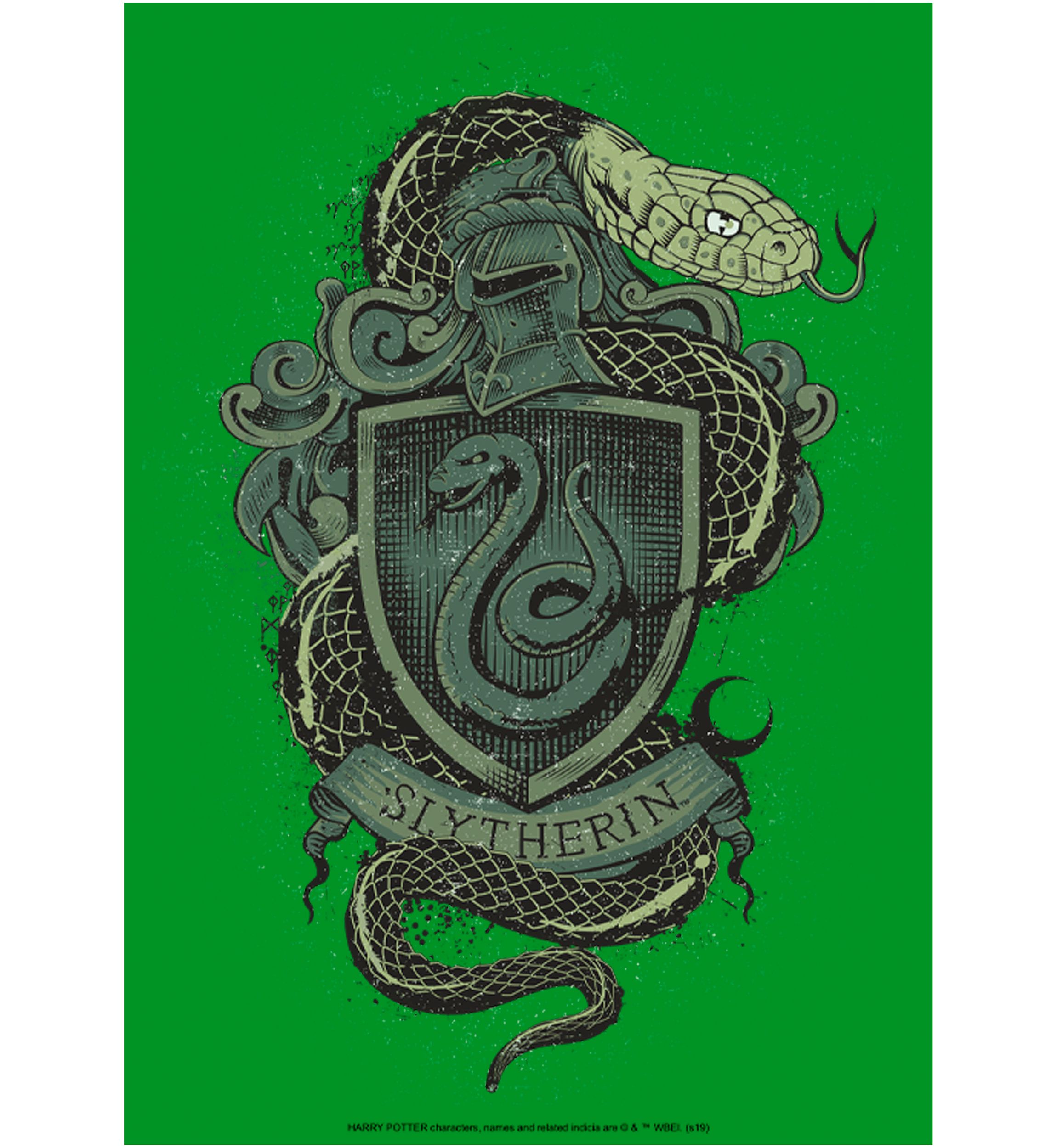 Boys 4-7  Slytherin House Crest Graphic T-Shirt