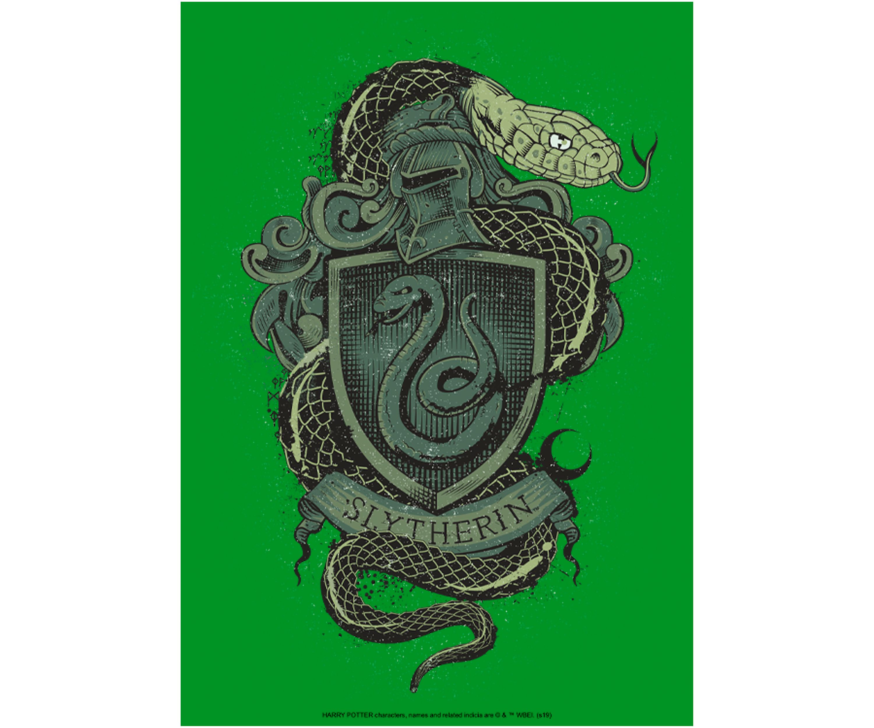 Boys 4-7  Slytherin House Crest Graphic T-Shirt