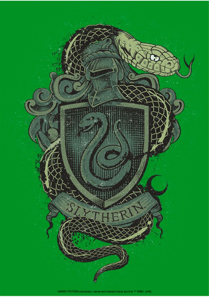 Boys 4-7  Slytherin House Crest Graphic T-Shirt