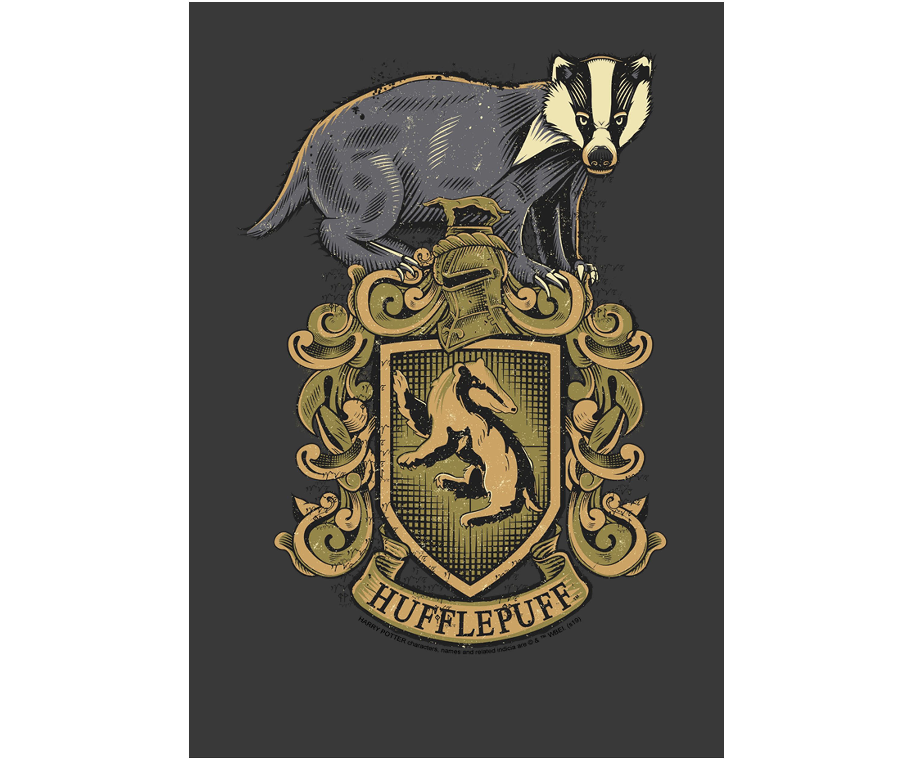 Boys 4-7  Hufflepuff House Crest Graphic T-Shirt