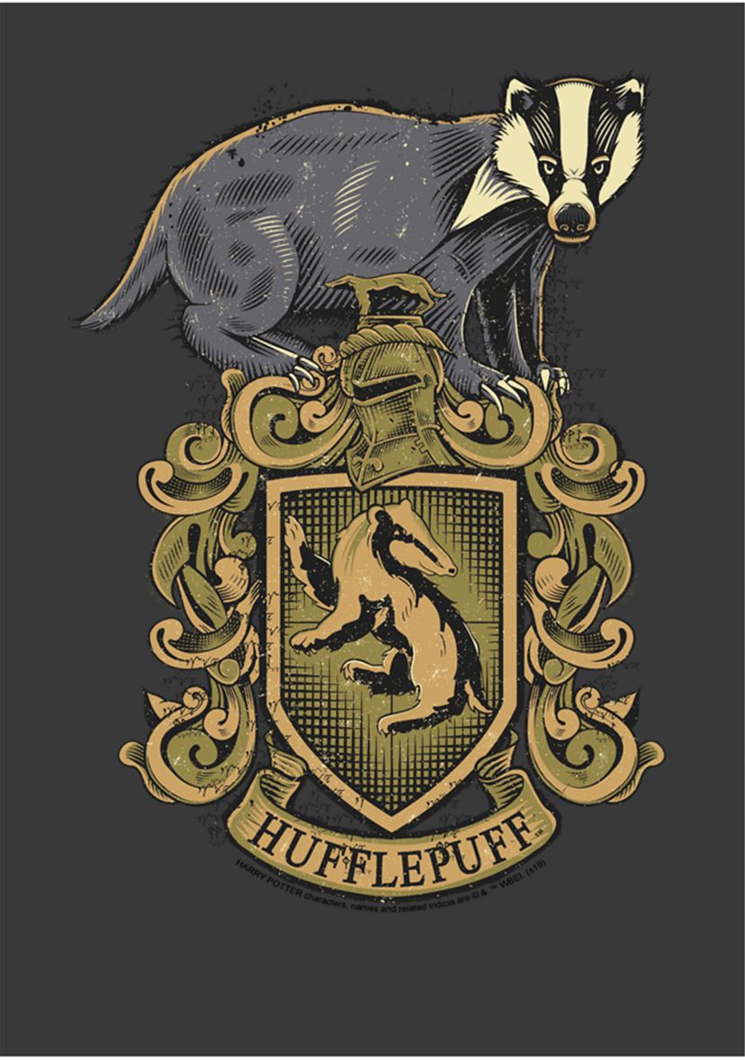 Boys 4-7  Hufflepuff House Crest Graphic T-Shirt