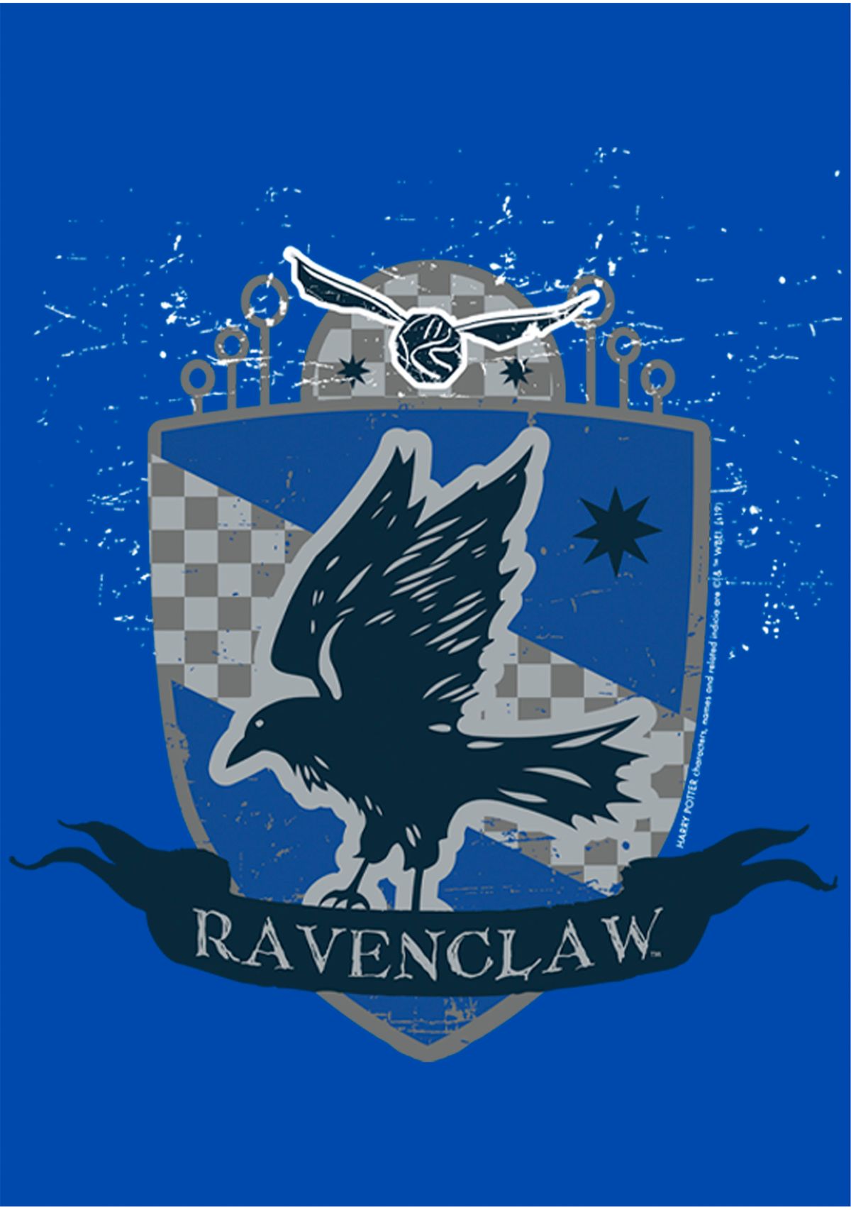 Boys 4-7  Ravenclaw Badge Graphic T-Shirt