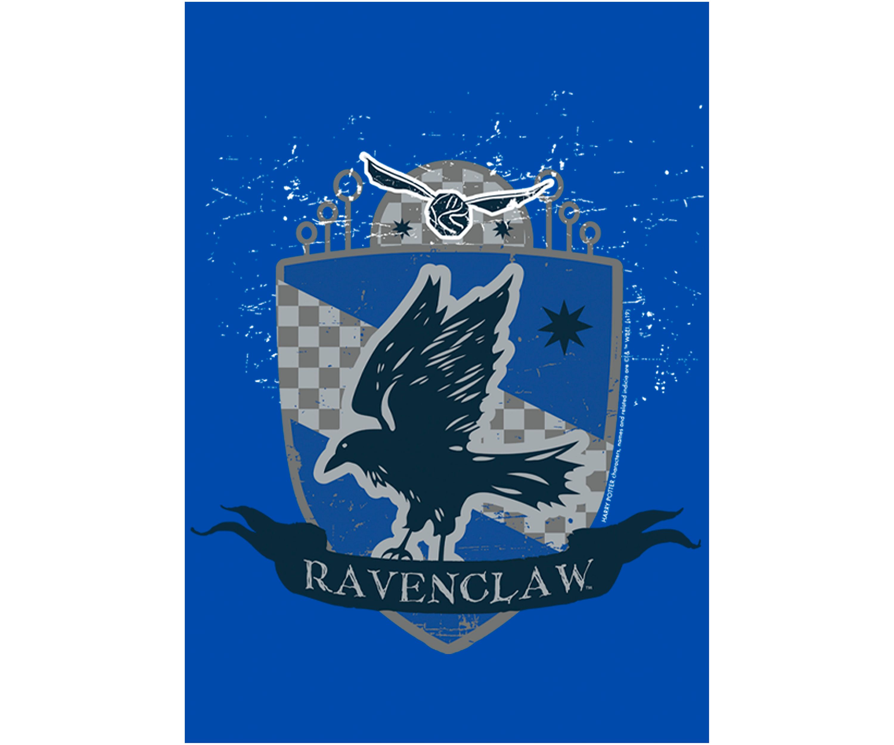 Boys 4-7  Ravenclaw Badge Graphic T-Shirt
