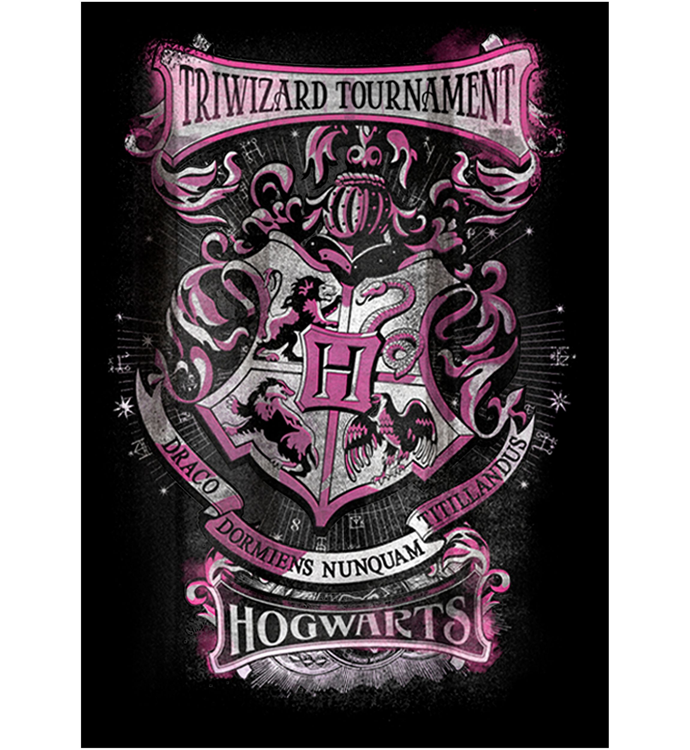 Boys 4-7  Triwizard Tournament Hogwarts Graphic T-Shirt