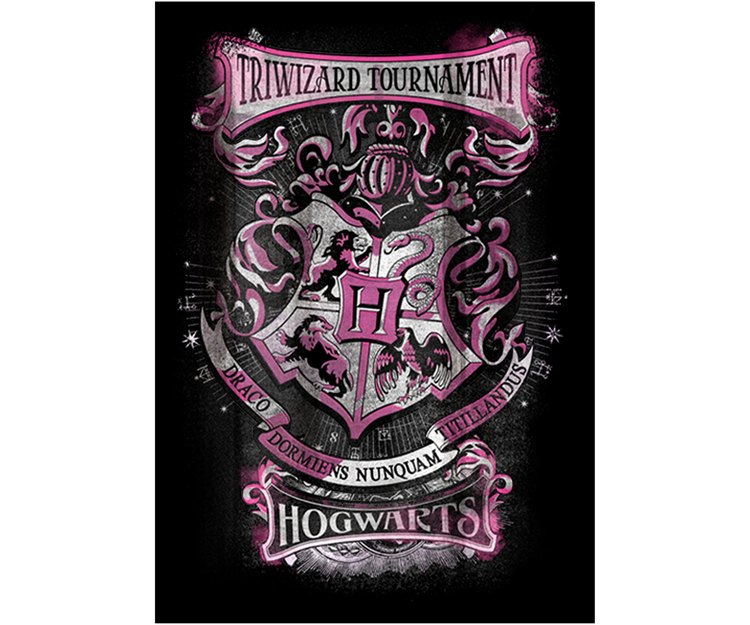 Boys 4-7  Triwizard Tournament Hogwarts Graphic T-Shirt