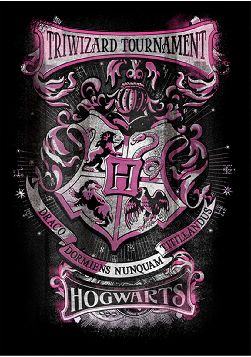 Boys 4-7  Triwizard Tournament Hogwarts Graphic T-Shirt