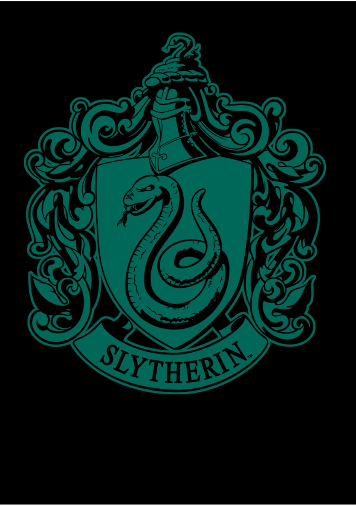 Boys 4-7  Green Crest Graphic T-Shirt