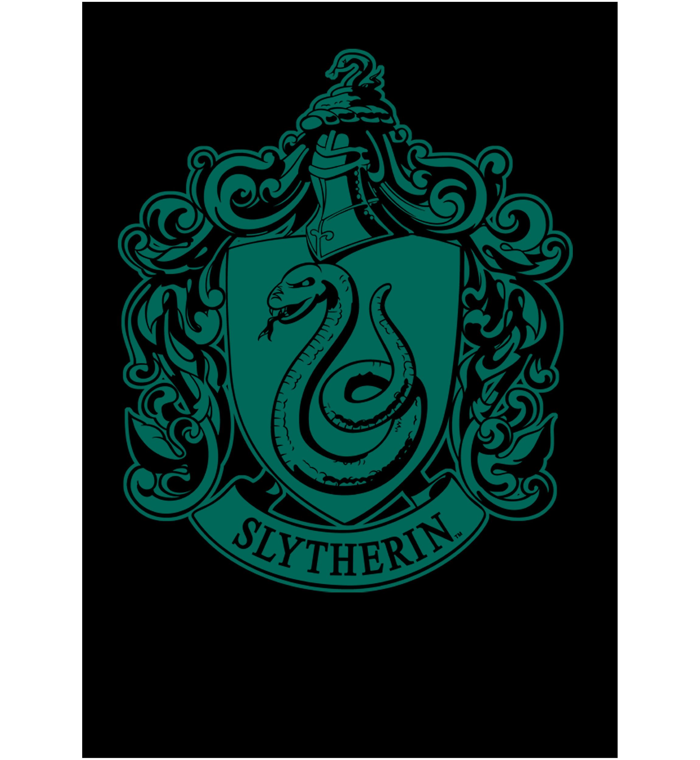 Boys 4-7  Green Crest Graphic T-Shirt
