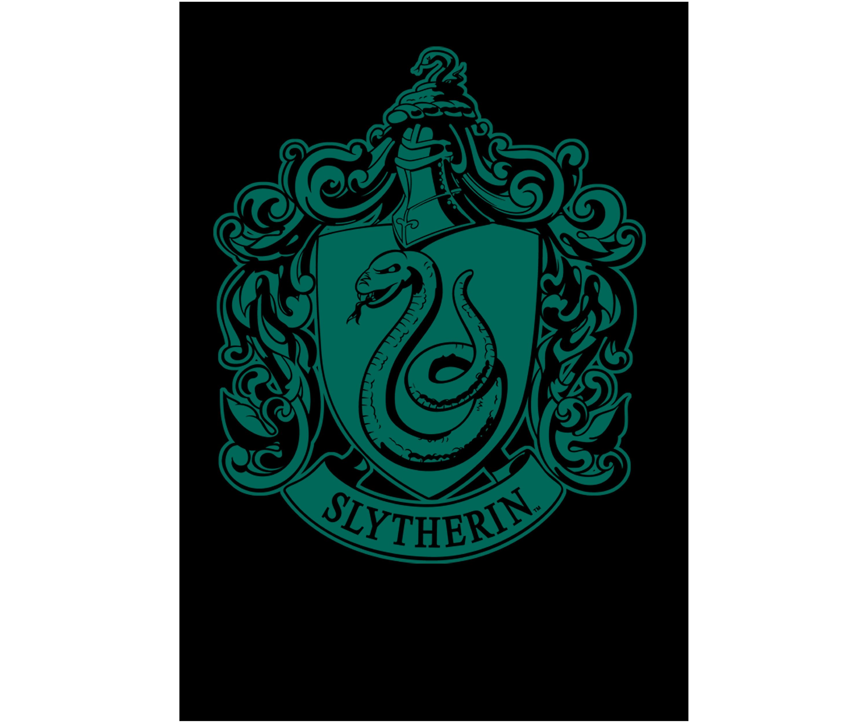 Boys 4-7  Green Crest Graphic T-Shirt