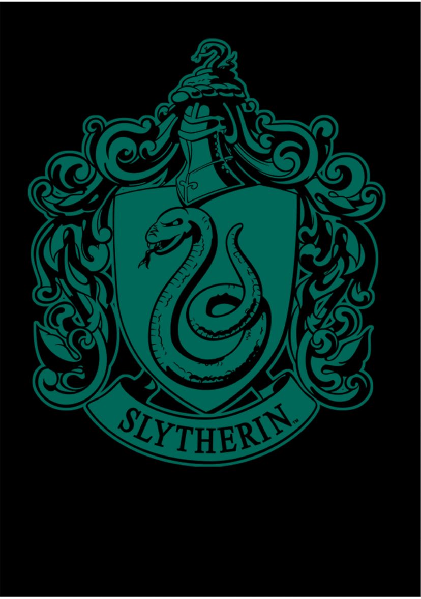 Boys 4-7  Green Crest Graphic T-Shirt