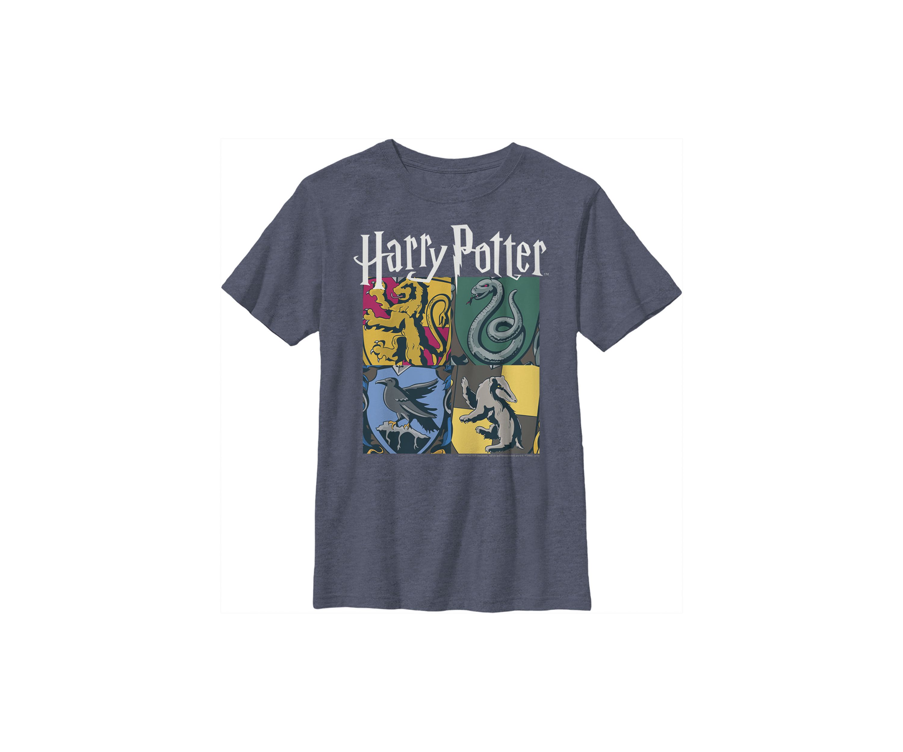 Boys 4-7  All Houses Graphic T-Shirt
