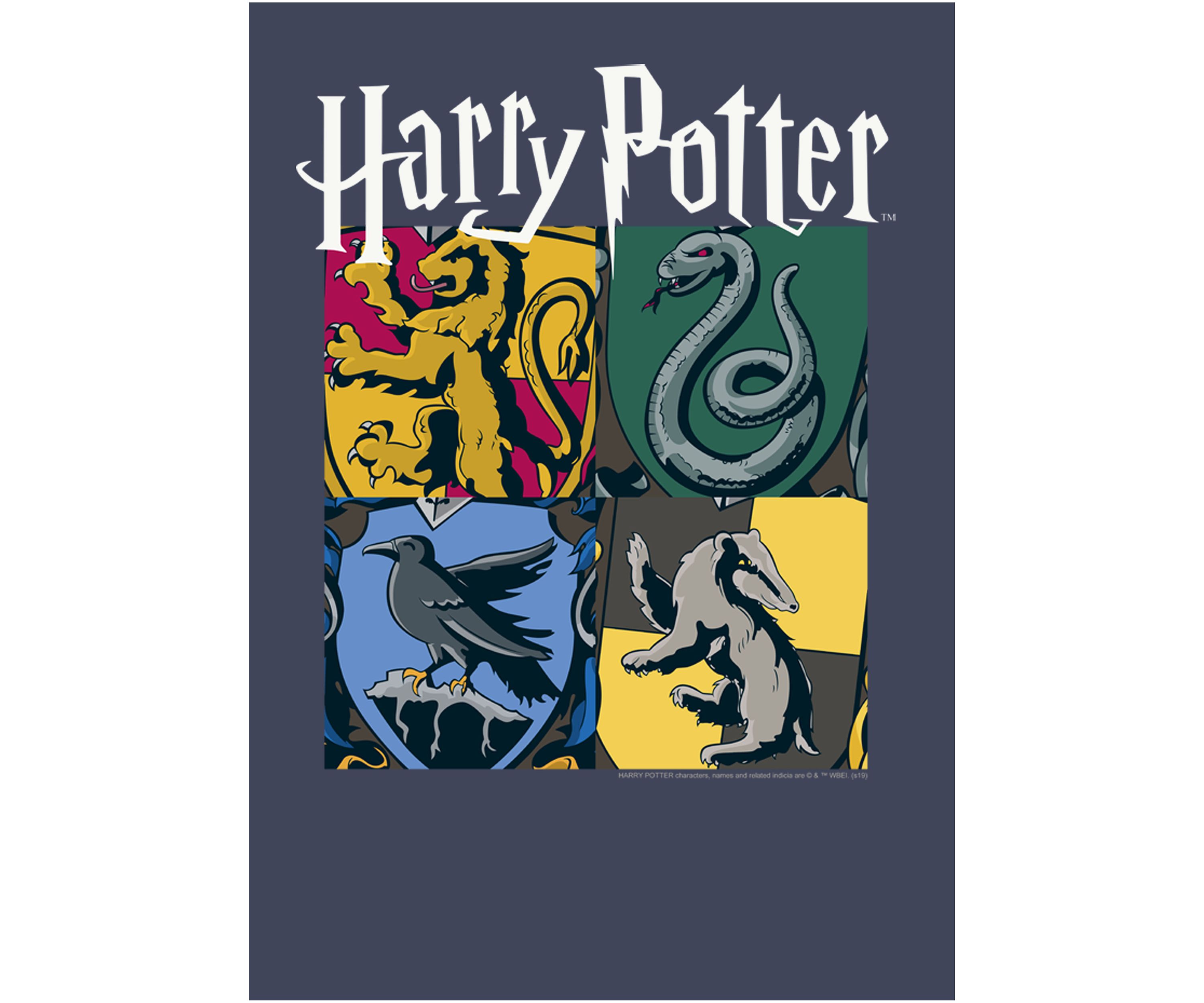 Boys 4-7  All Houses Graphic T-Shirt