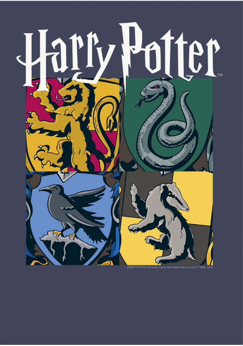 Boys 4-7  All Houses Graphic T-Shirt