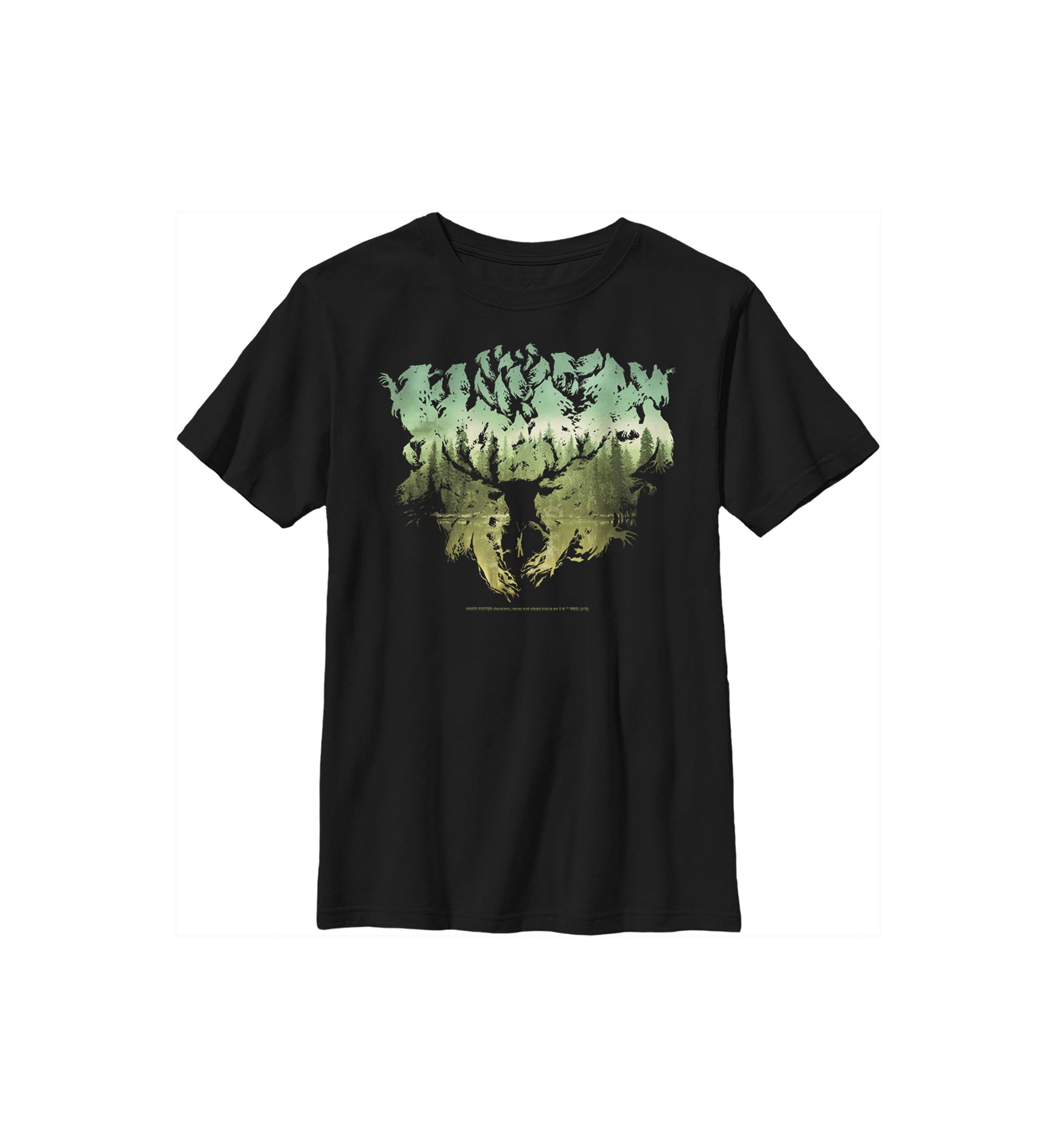 Boys 4-7  Patronus Silhouette Graphic T-Shirt