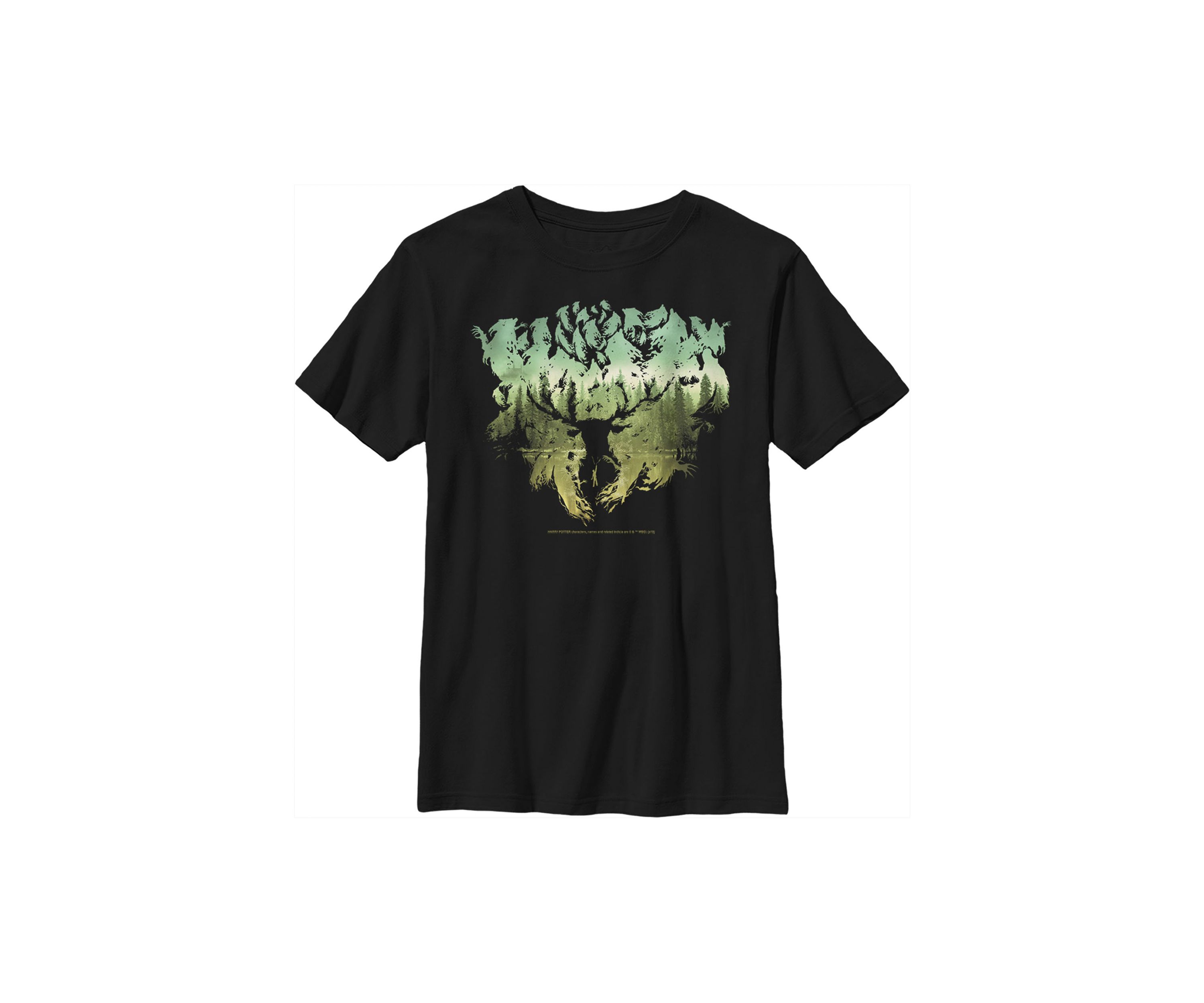 Boys 4-7  Patronus Silhouette Graphic T-Shirt