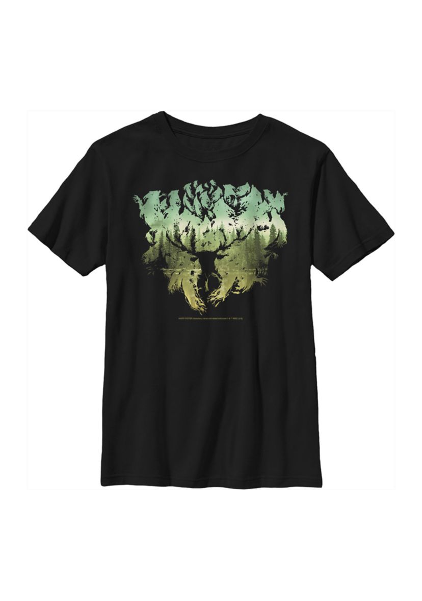 Boys 4-7  Patronus Silhouette Graphic T-Shirt