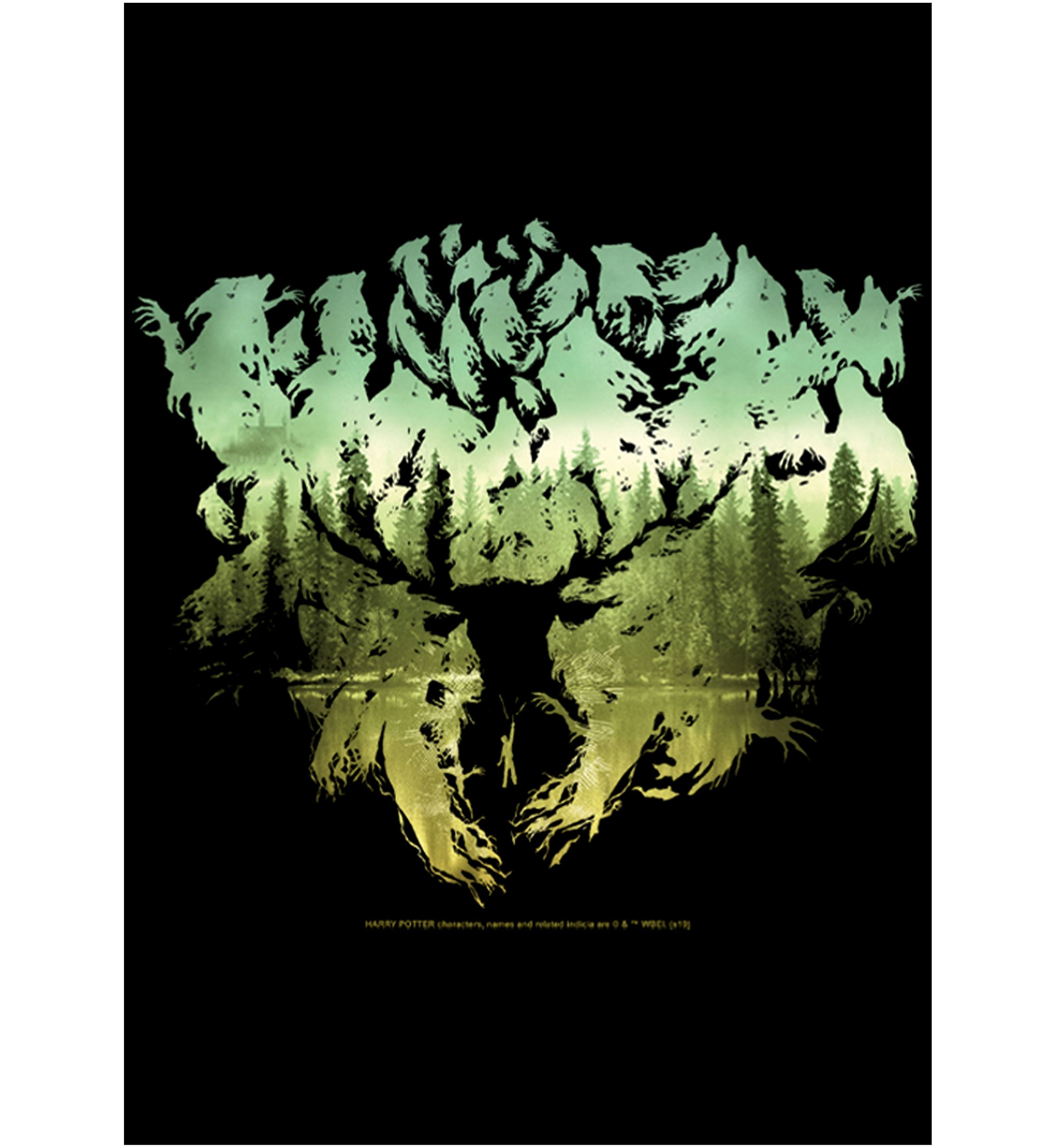 Boys 4-7  Patronus Silhouette Graphic T-Shirt