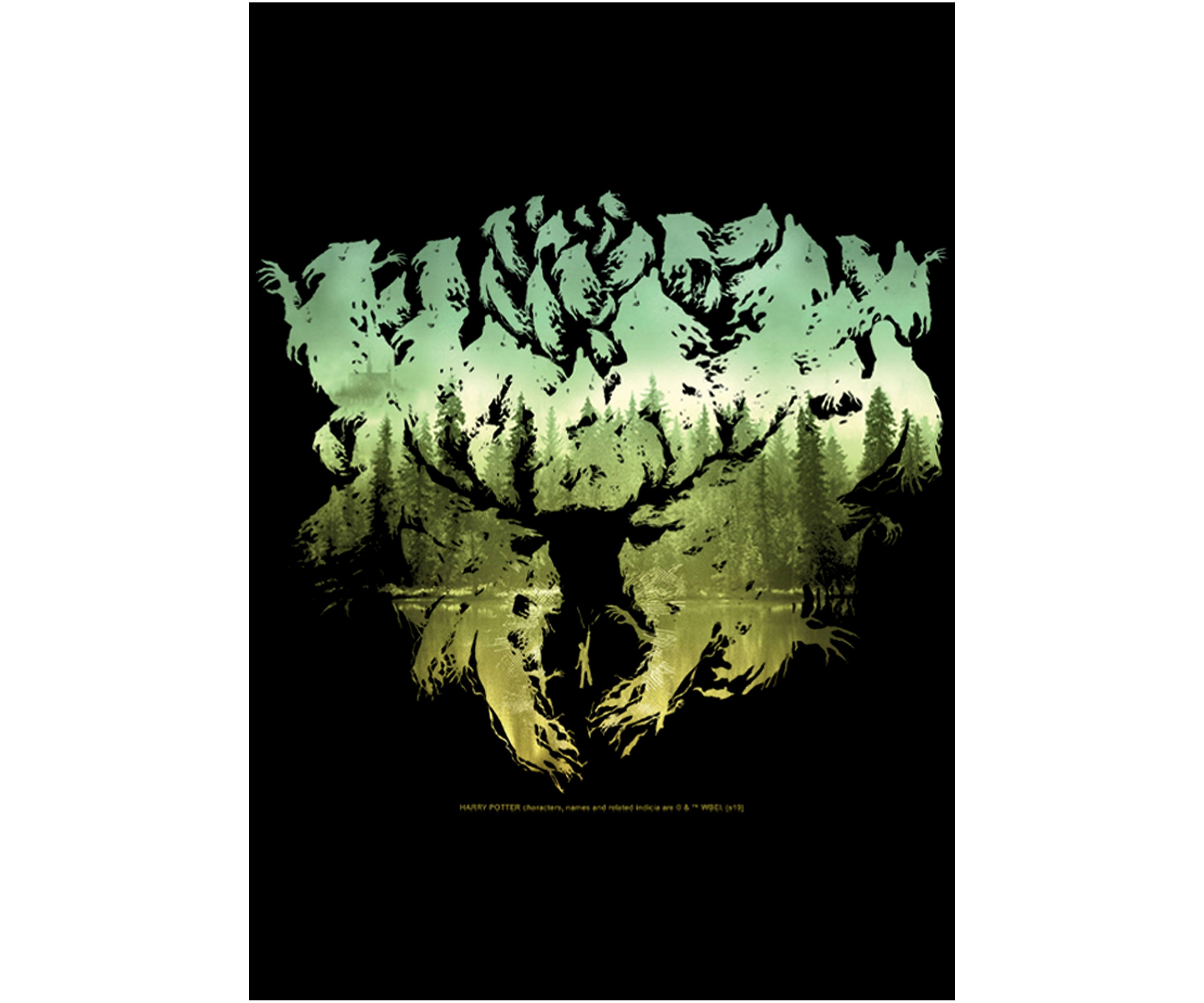 Boys 4-7  Patronus Silhouette Graphic T-Shirt