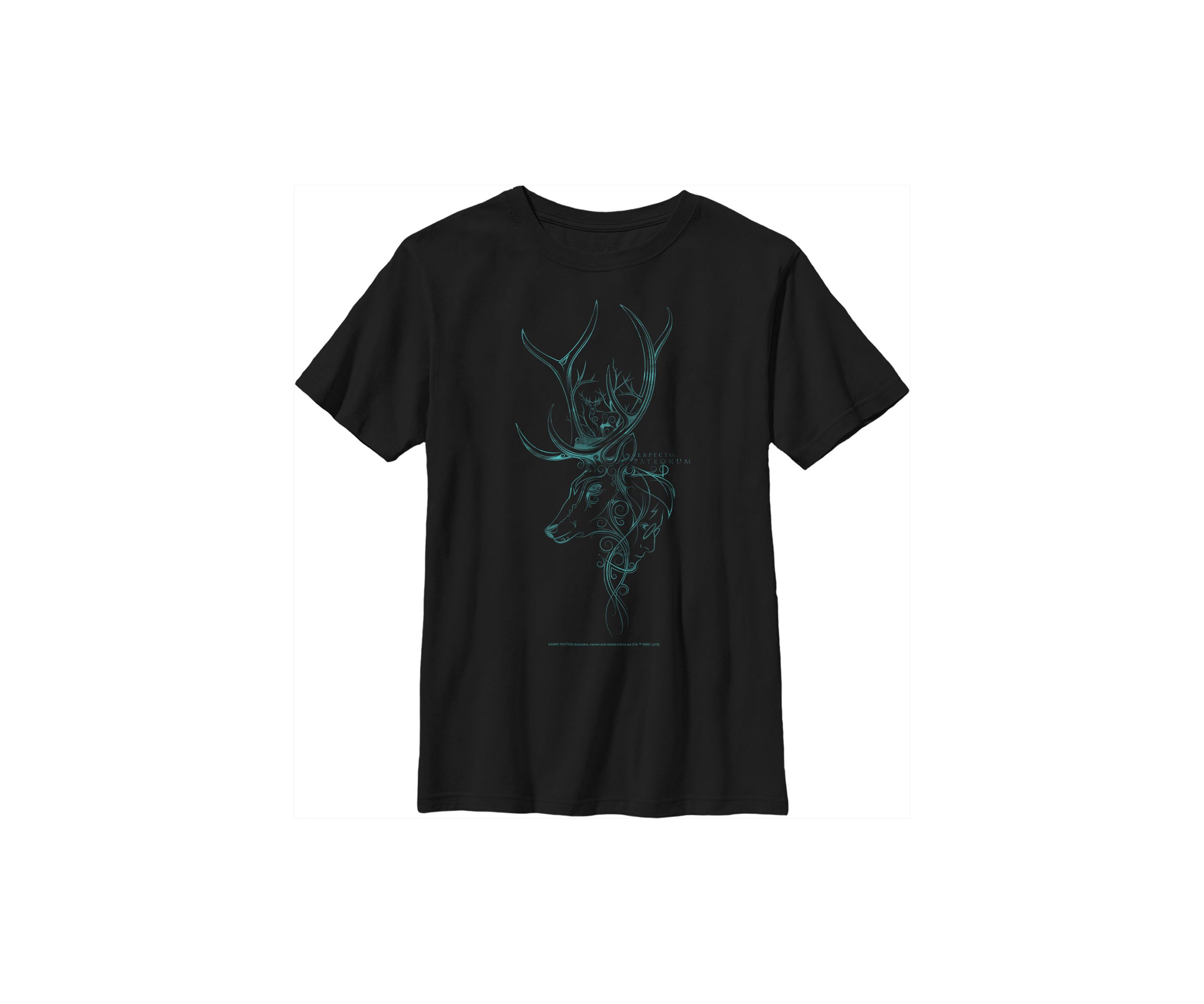 Boys 4-7  Patronum Graphic T-Shirt