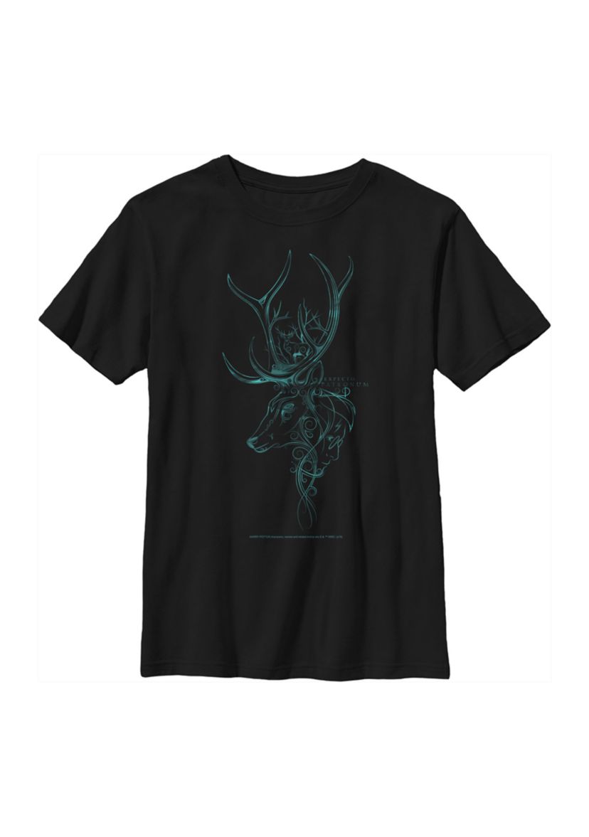 Boys 4-7  Patronum Graphic T-Shirt