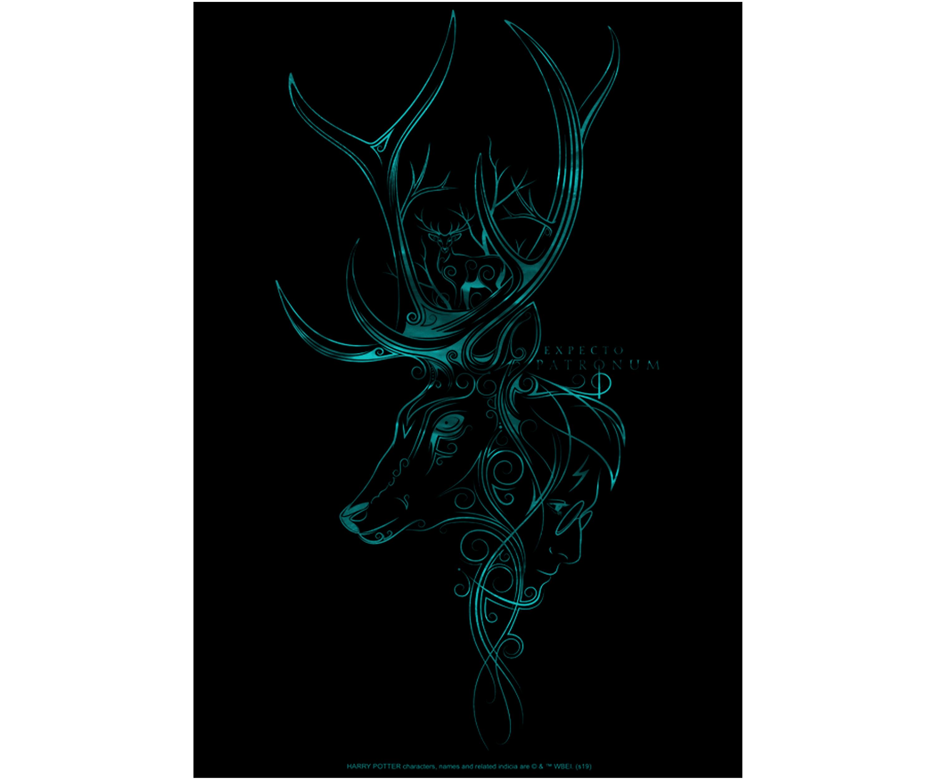 Boys 4-7  Patronum Graphic T-Shirt