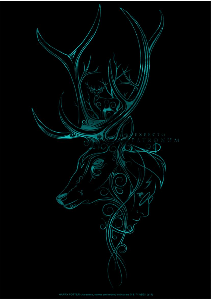 Boys 4-7  Patronum Graphic T-Shirt