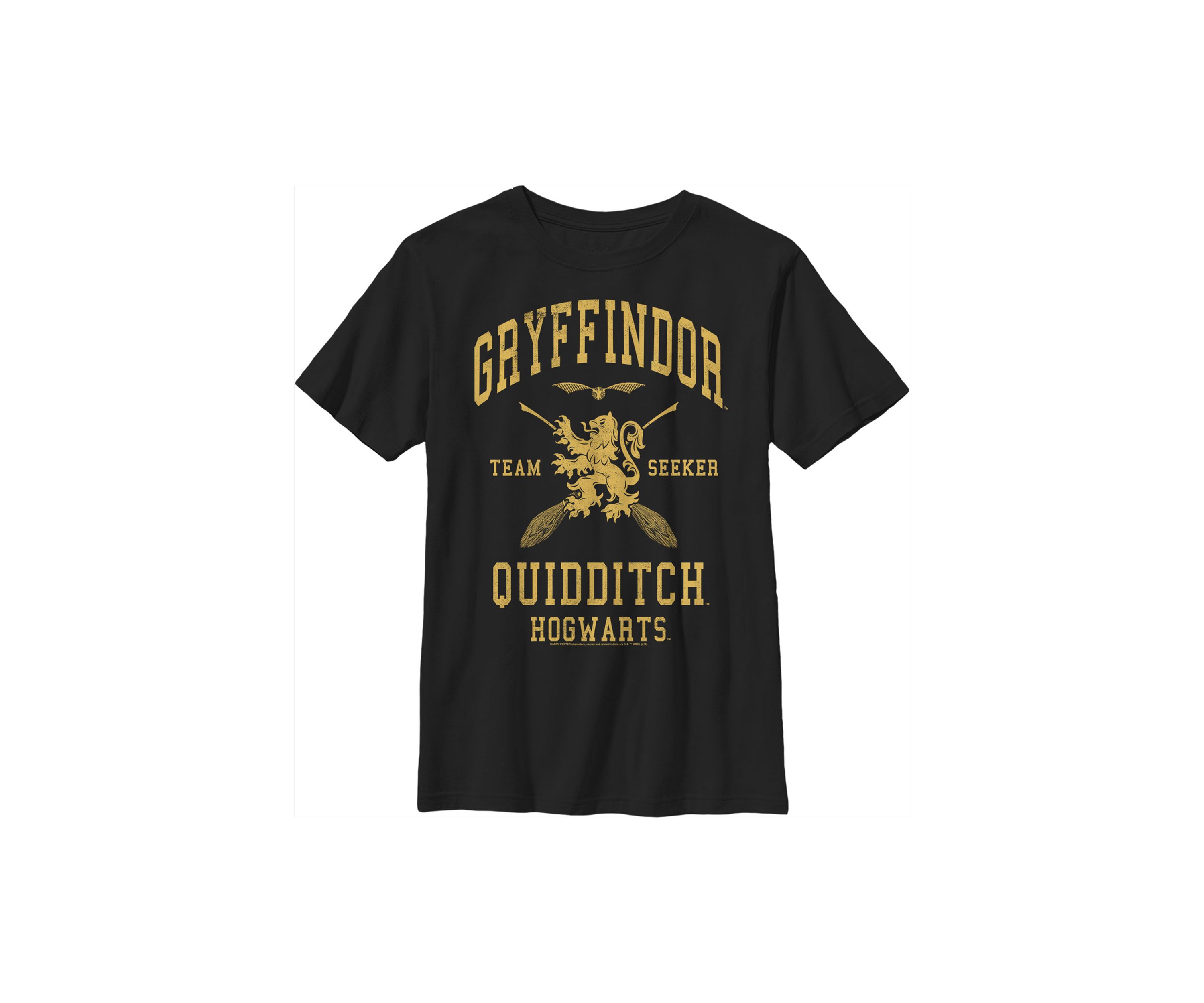 Boys 4-7  Gryffindor Quidditch Seeker Graphic T-Shirt