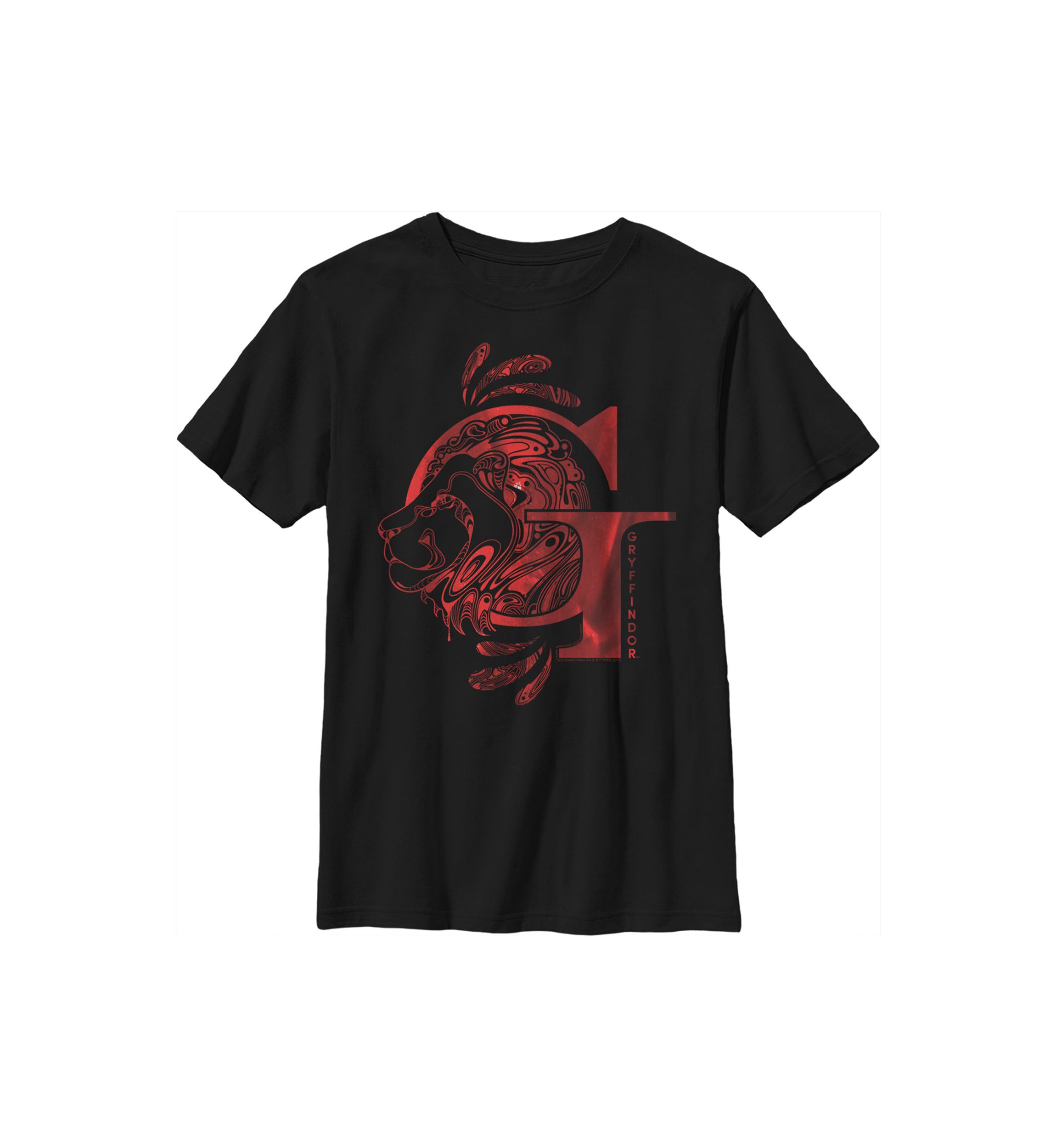 Boys 4-7  Gryffindor Graphic T-Shirt
