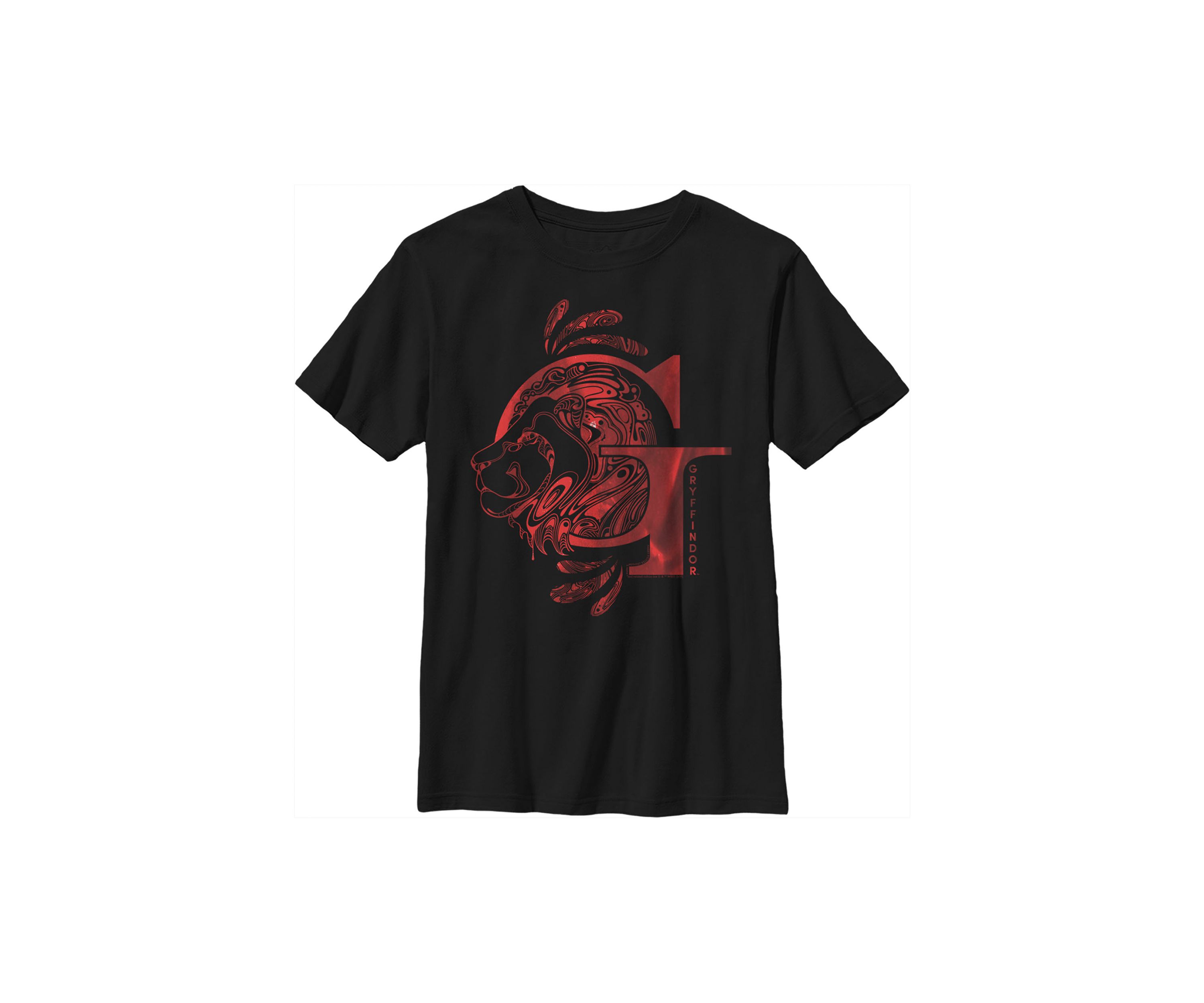 Boys 4-7  Gryffindor Graphic T-Shirt