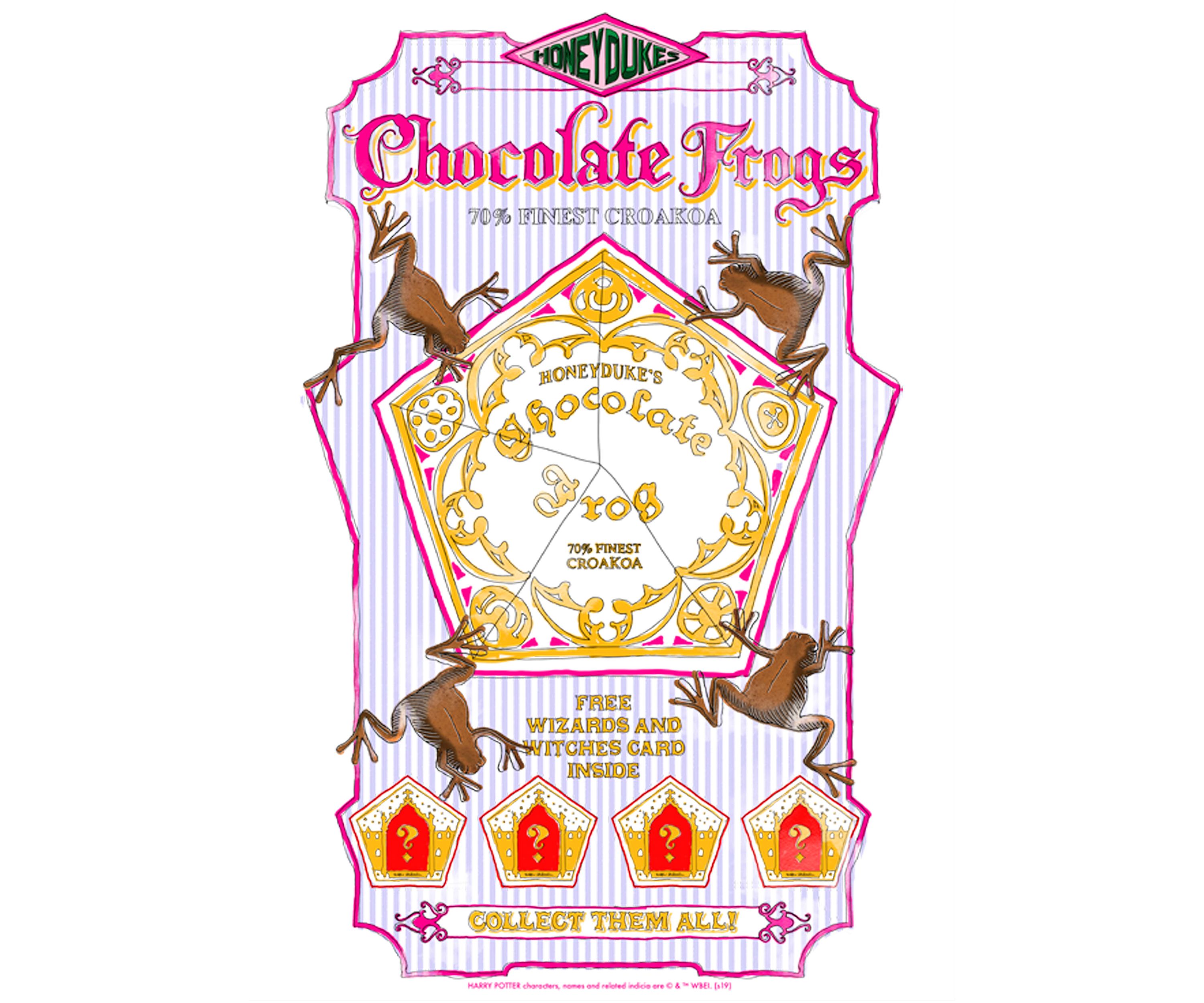 Boys 4-7  Chocolate Frogs Graphic T-Shirt