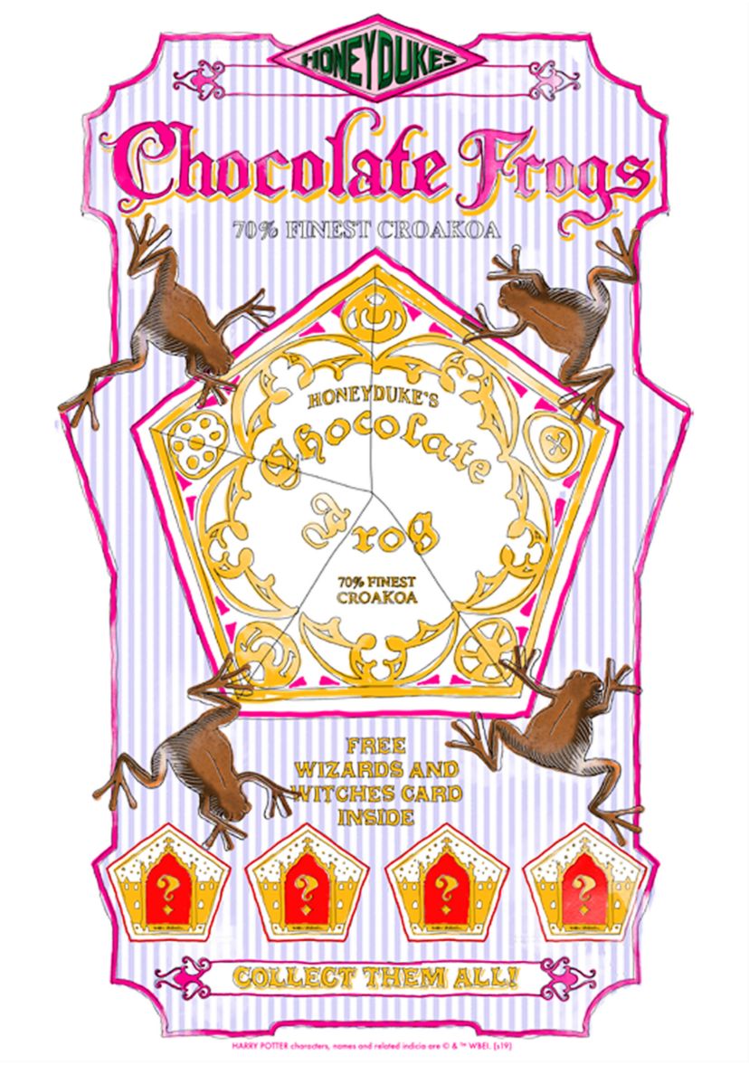 Boys 4-7  Chocolate Frogs Graphic T-Shirt