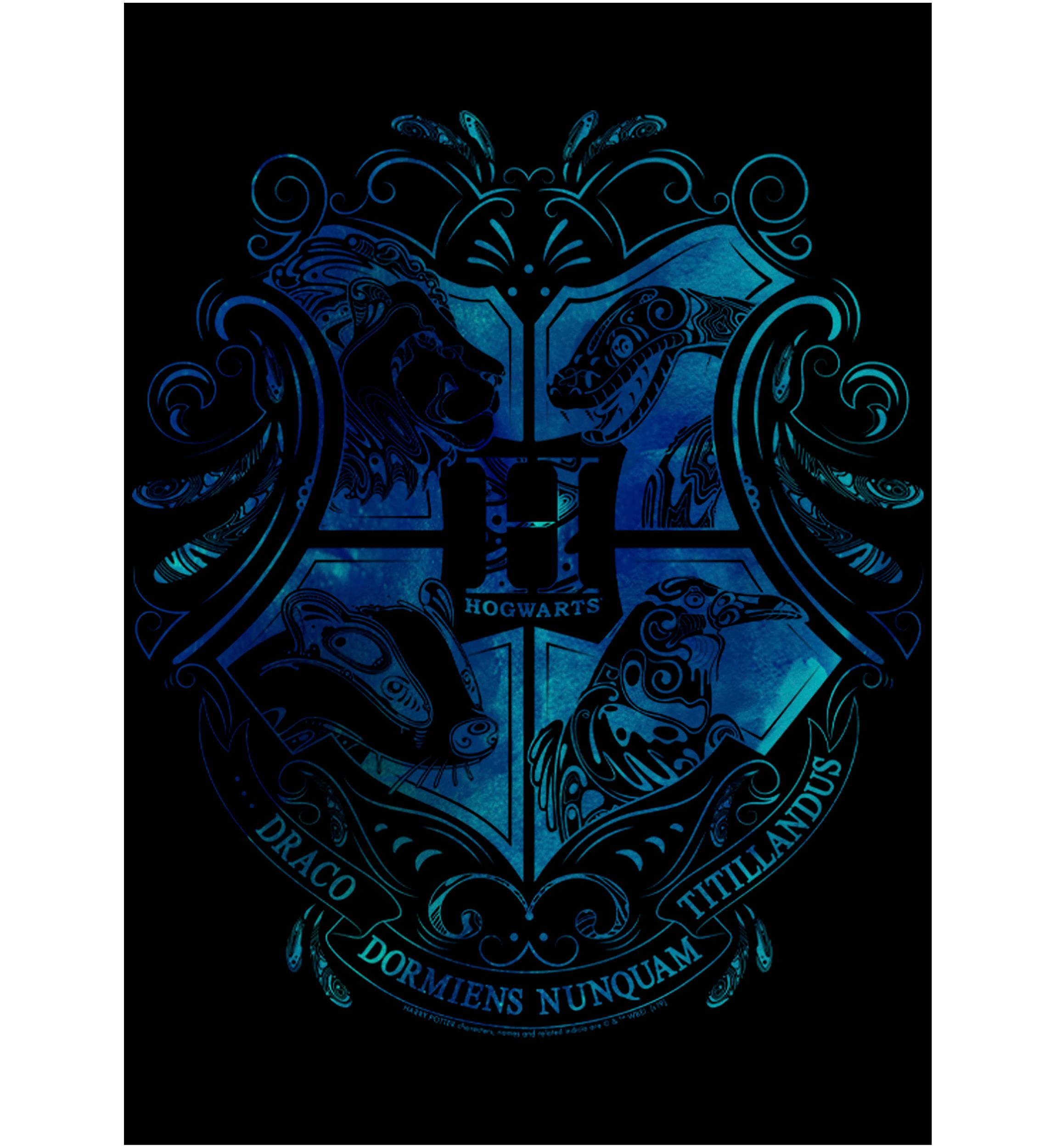 Boys 4-7  Hogwarts Graphic T-Shirt