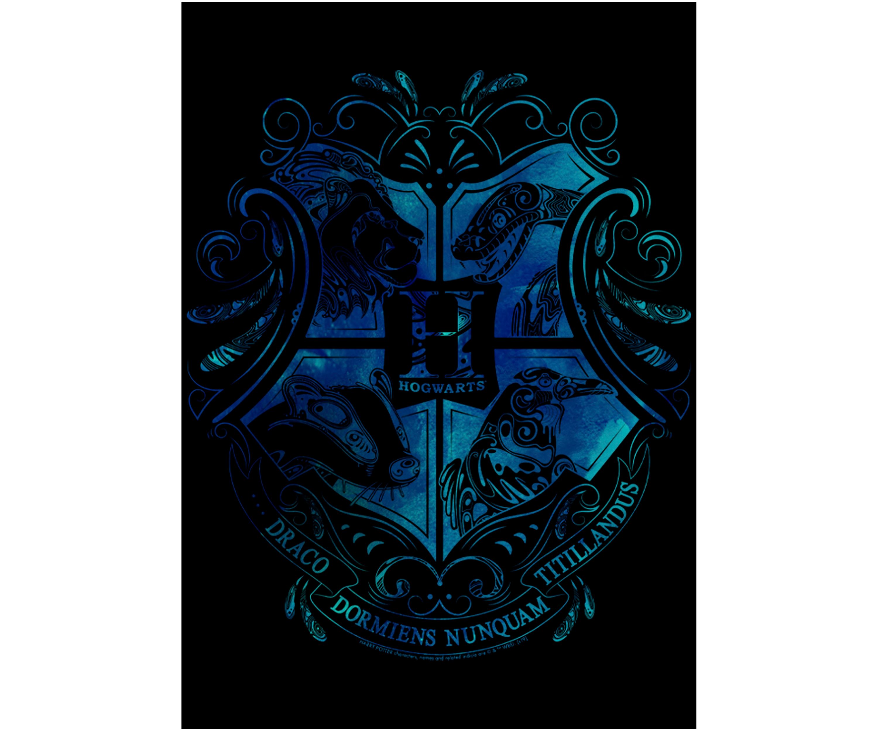 Boys 4-7  Hogwarts Graphic T-Shirt