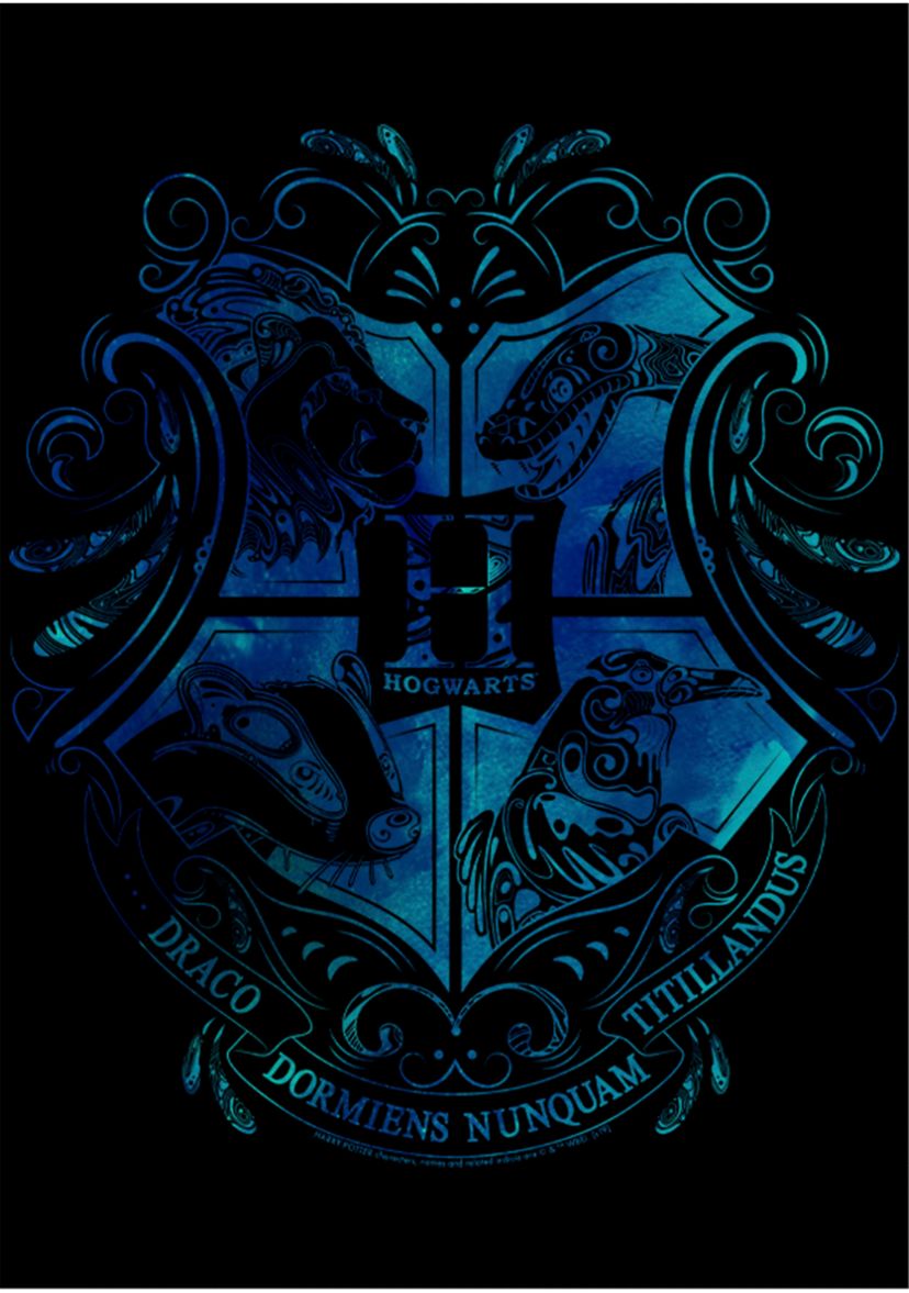 Boys 4-7  Hogwarts Graphic T-Shirt
