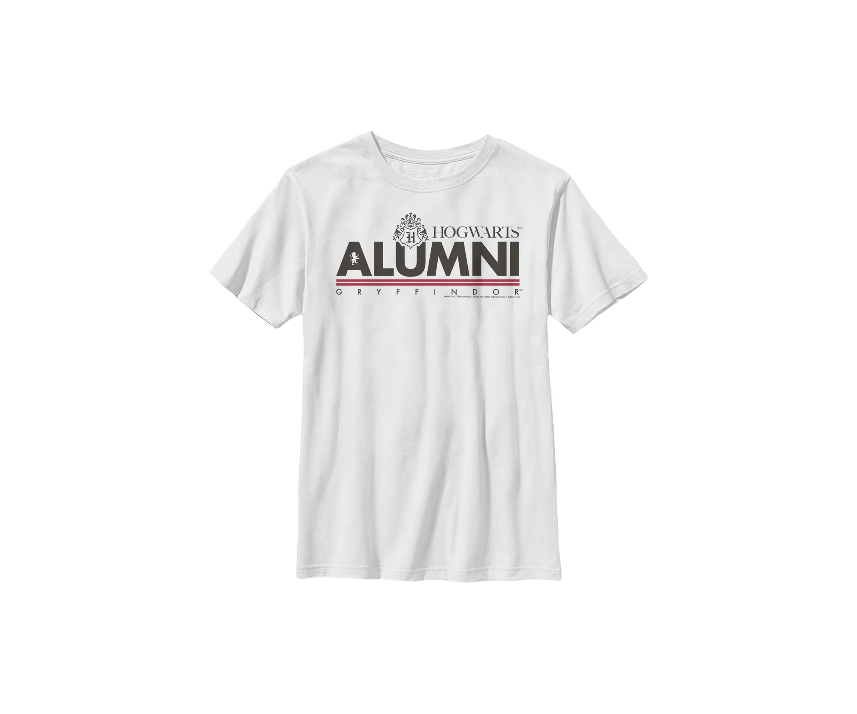 Boys 4-7  Alumni Gryffindor Graphic T-Shirt