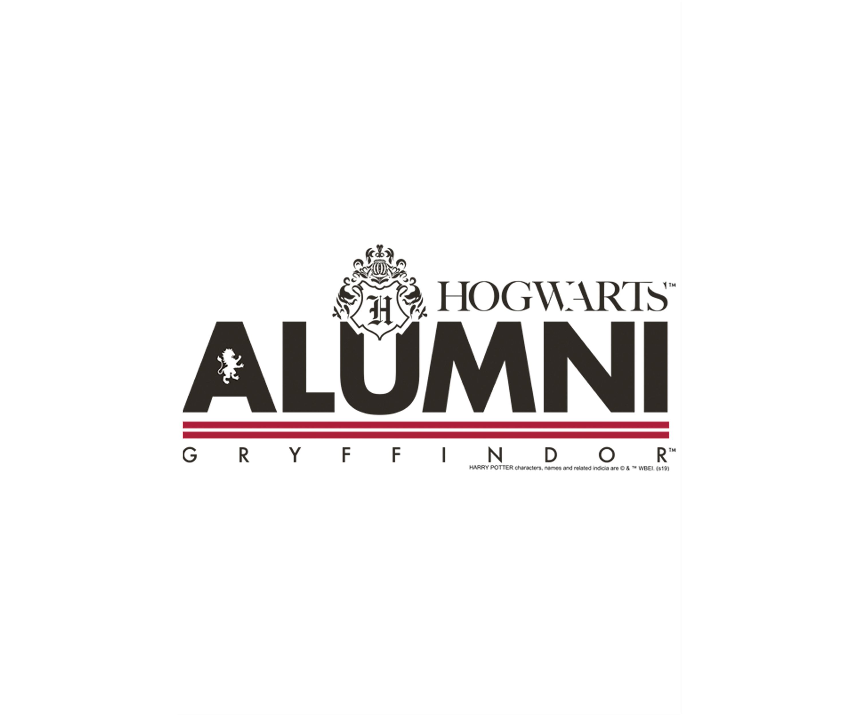 Boys 4-7  Alumni Gryffindor Graphic T-Shirt
